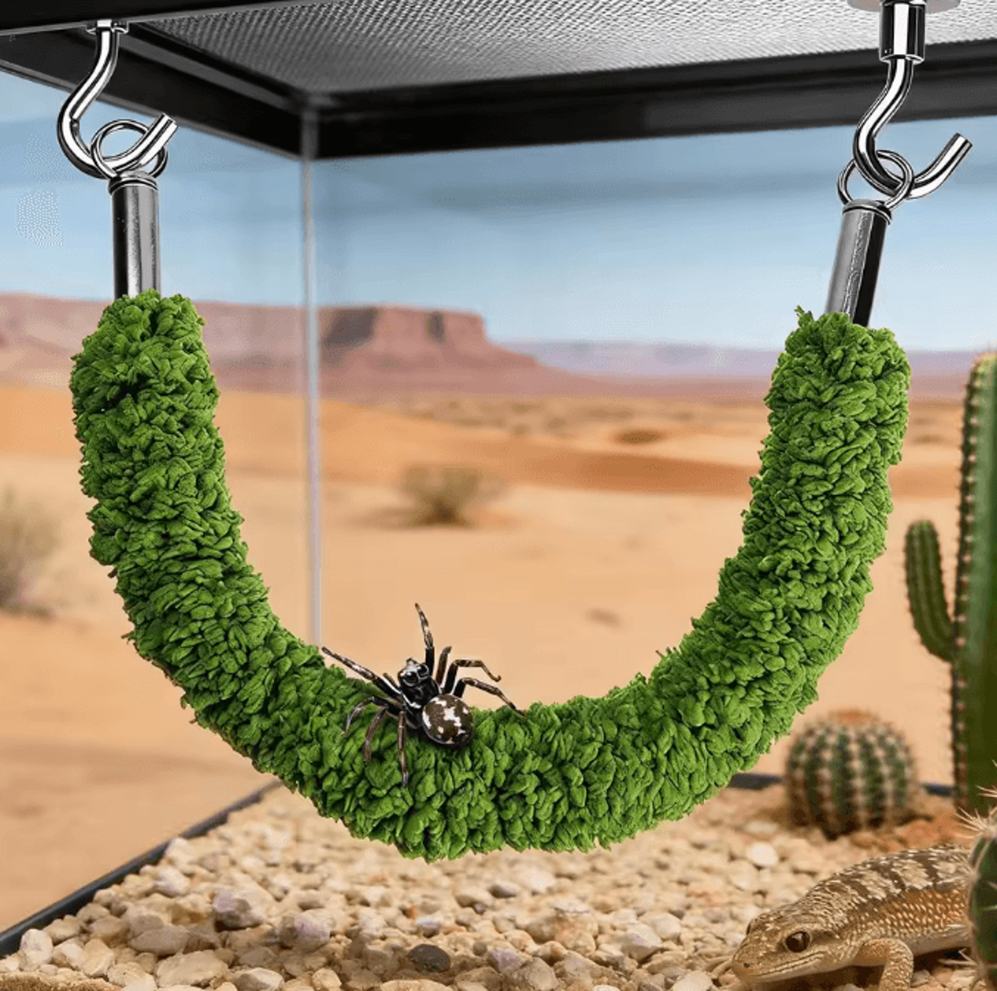 Natural Wood Jumping Spider Bridge  Climbing Ladder For Terrariums And Small Pet Enclosures 2