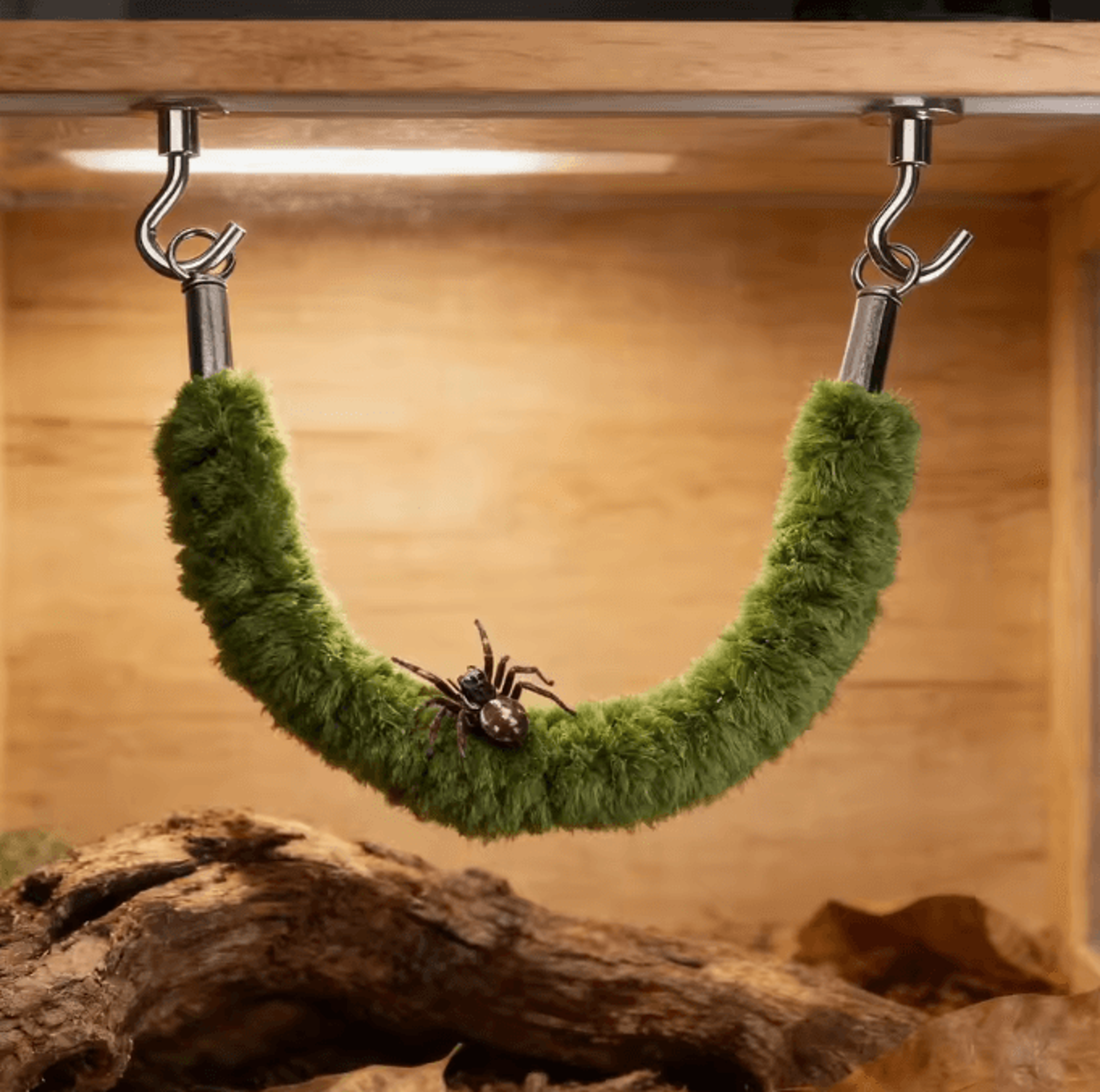 Natural Wood Jumping Spider Bridge  Climbing Ladder For Terrariums And Small Pet Enclosures 3