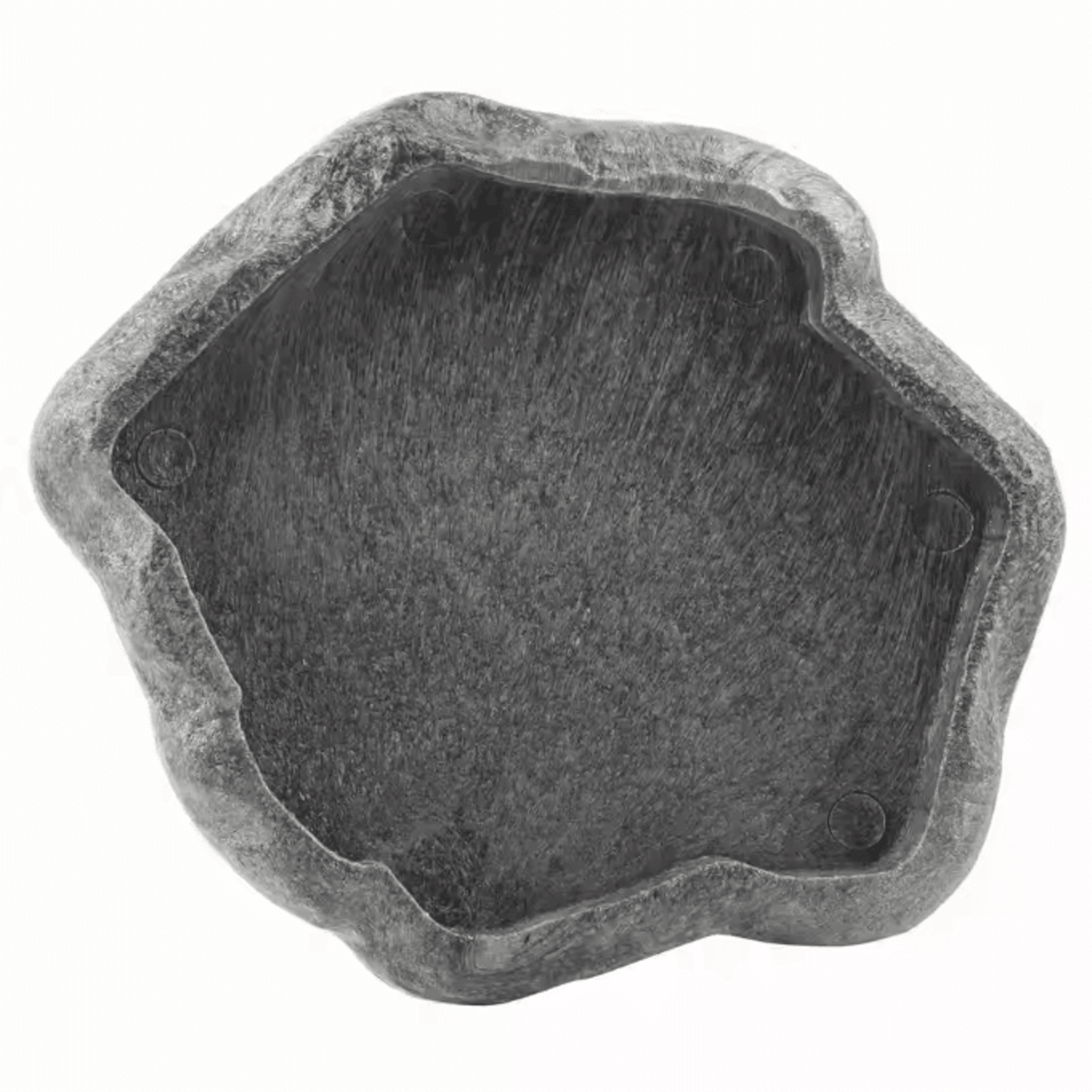 Natural Rock Style Reptile Feeder Bowl For Tortoise Lizard And Terrarium Habitats 3