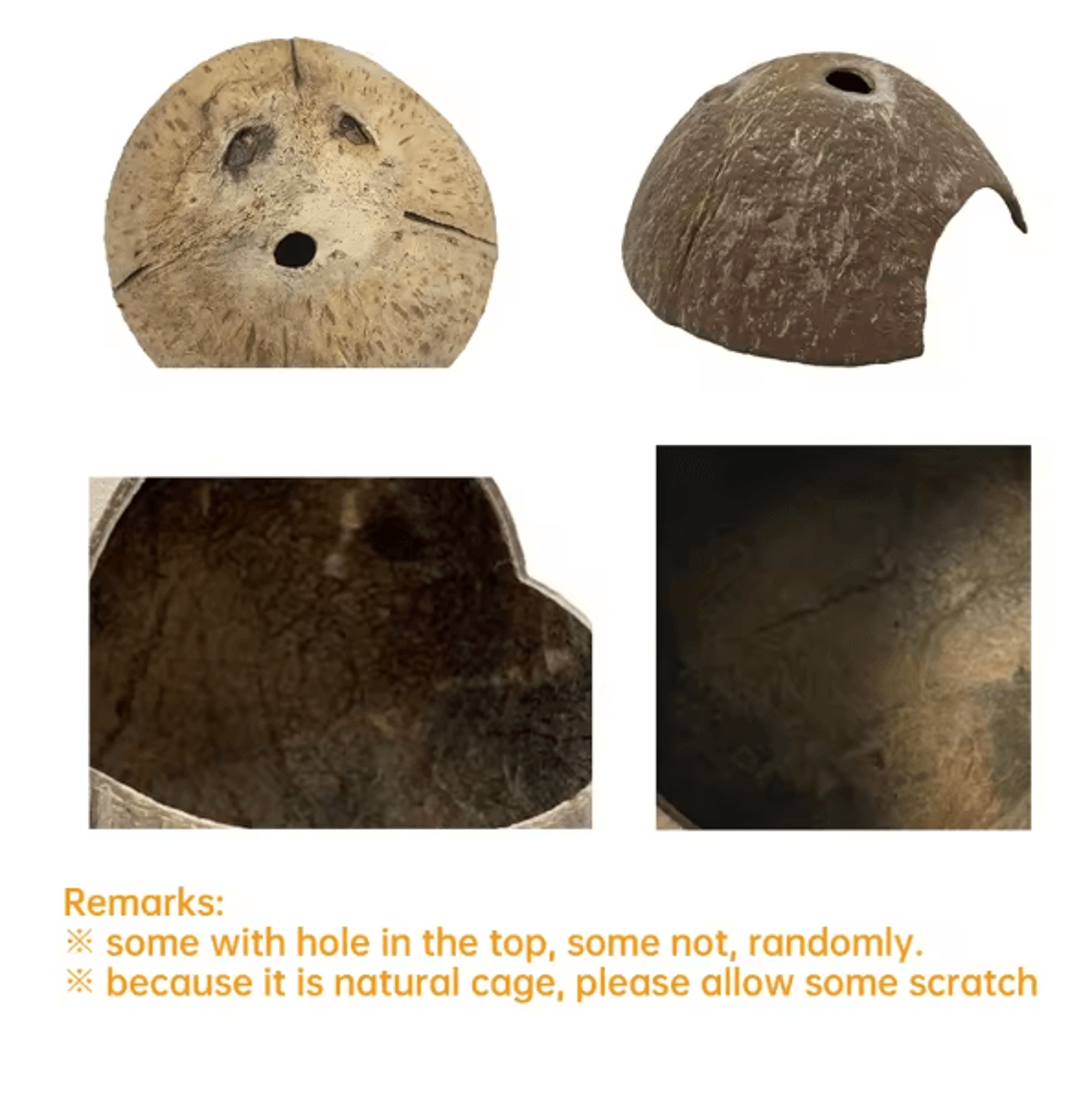 Natural Coconut Reptile Hide Cave For Turtles Lizards And Aquarium Habitats 3