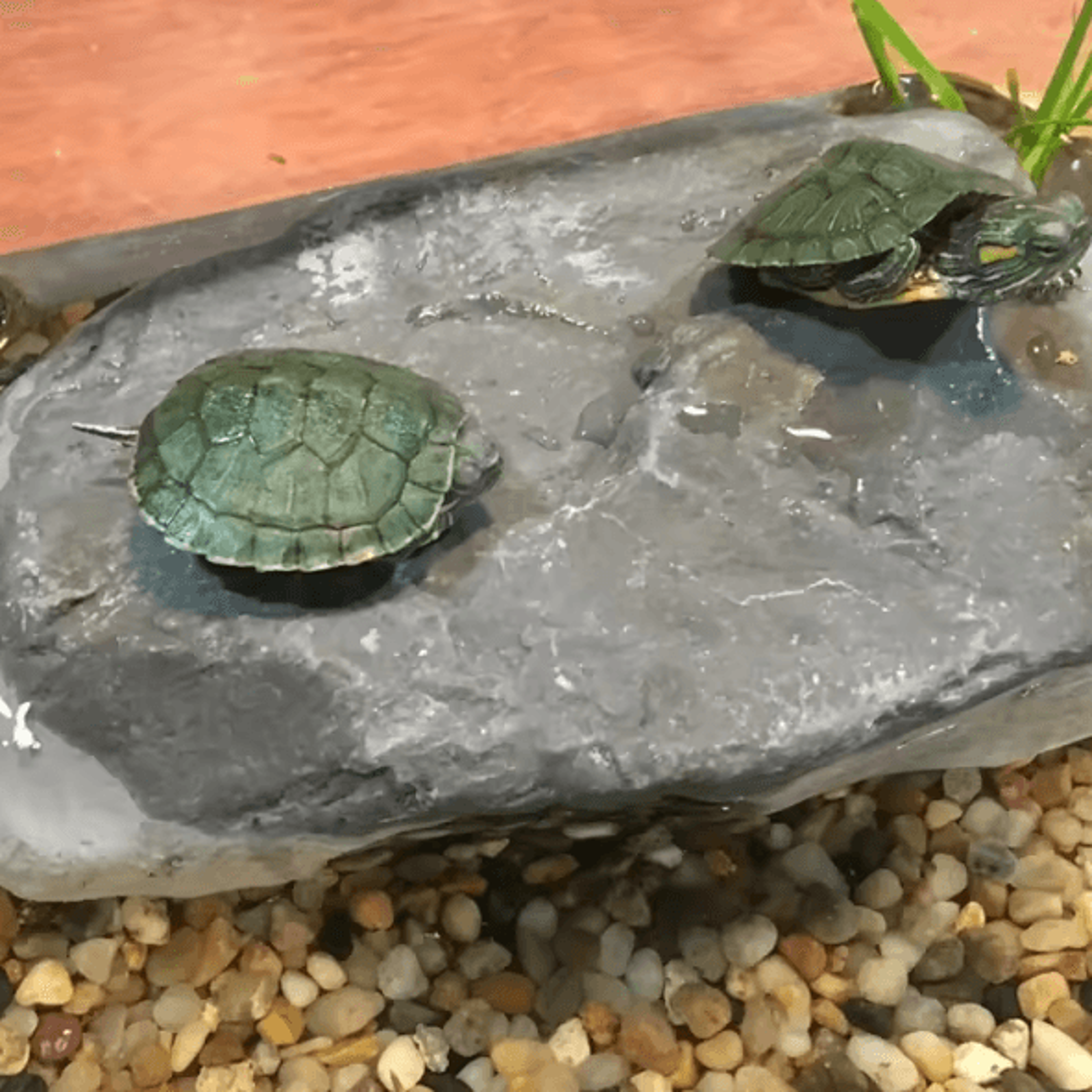 Creative Reptile Basking Platform And Resin Rest Cave For Turtle And Terrarium Habitats 1