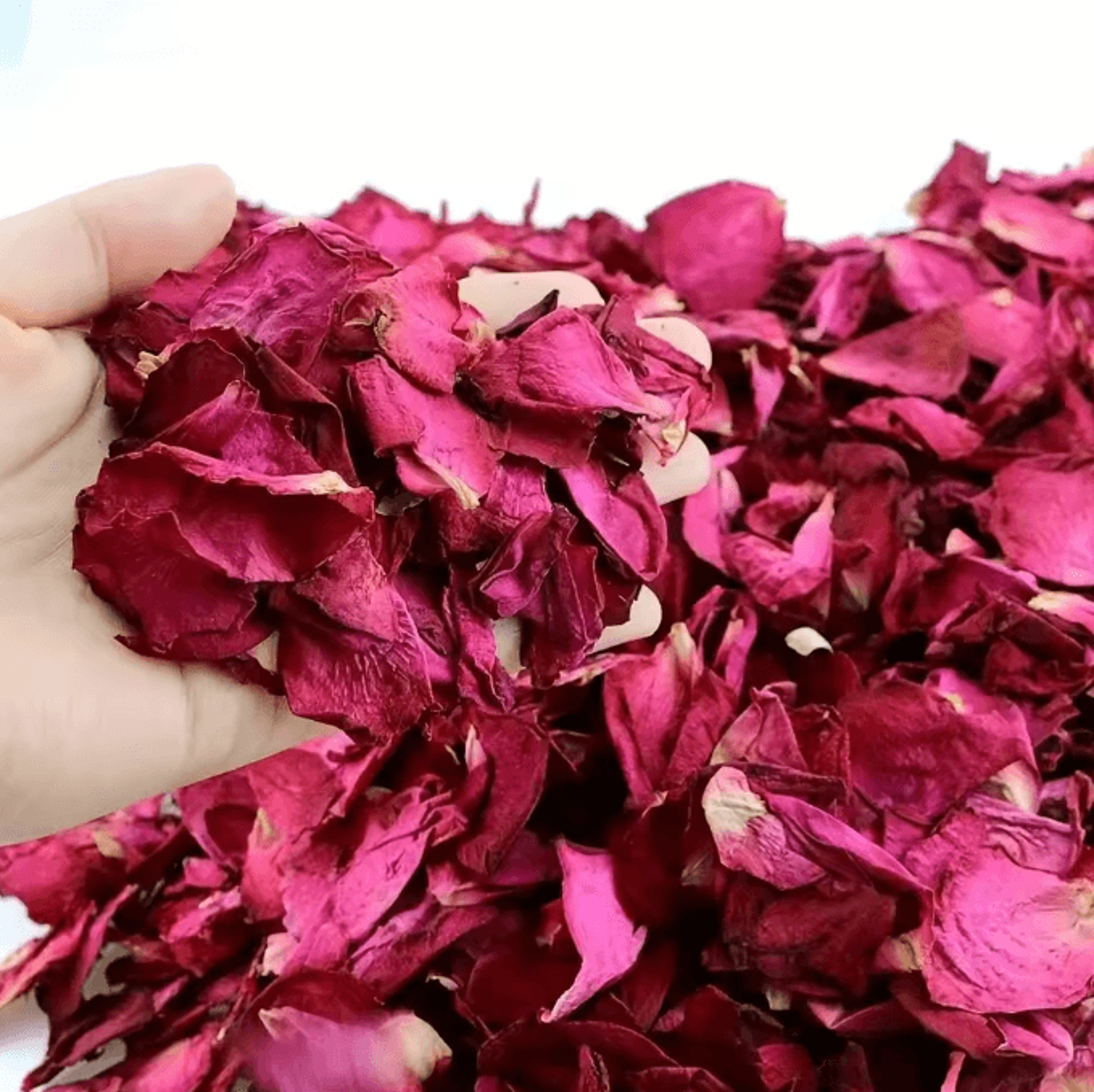 Natural Dried Rose Petals For Aromatherapy Bath Spa And Wedding Decoration 0