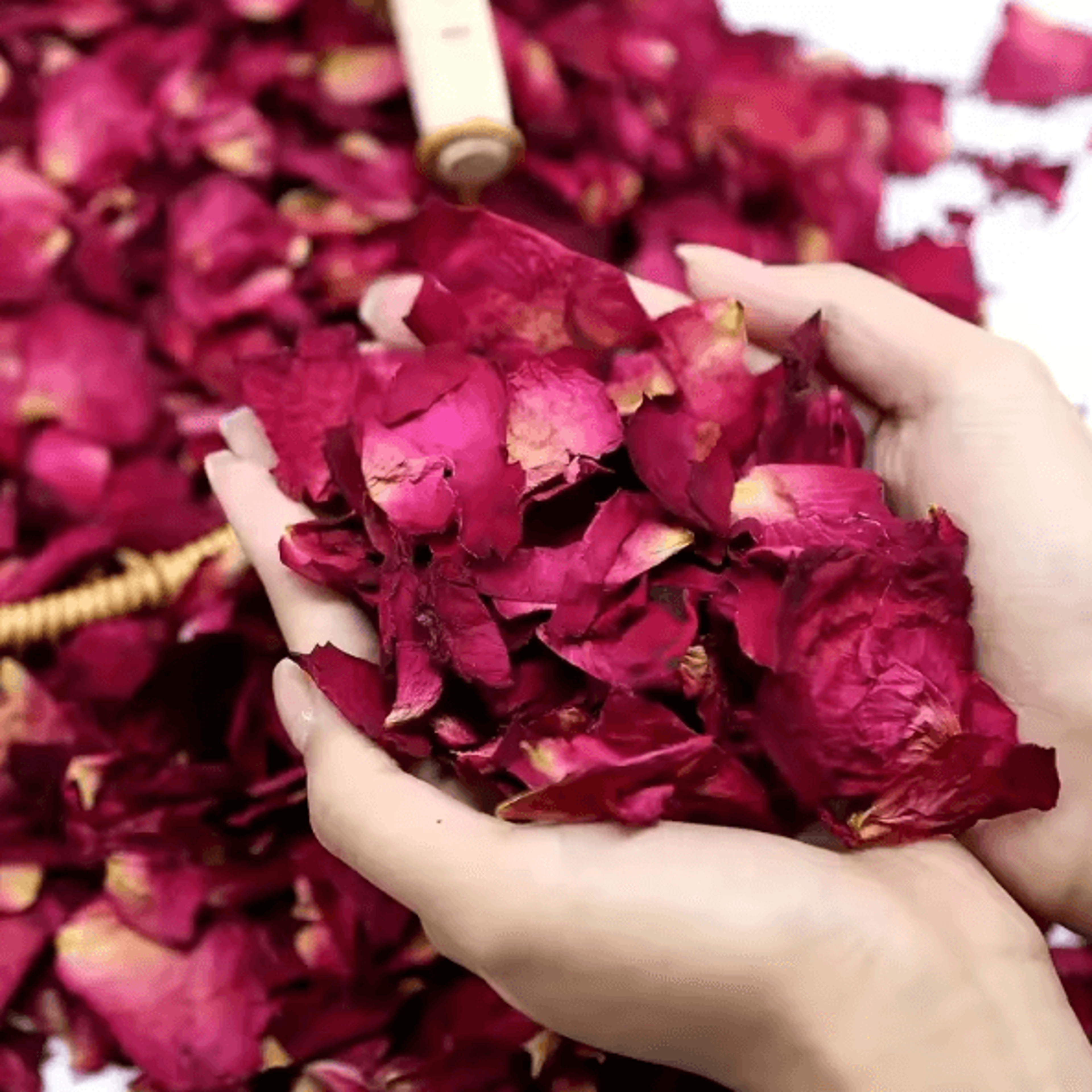 Natural Dried Rose Petals For Aromatherapy Bath Spa And Wedding Decoration 1