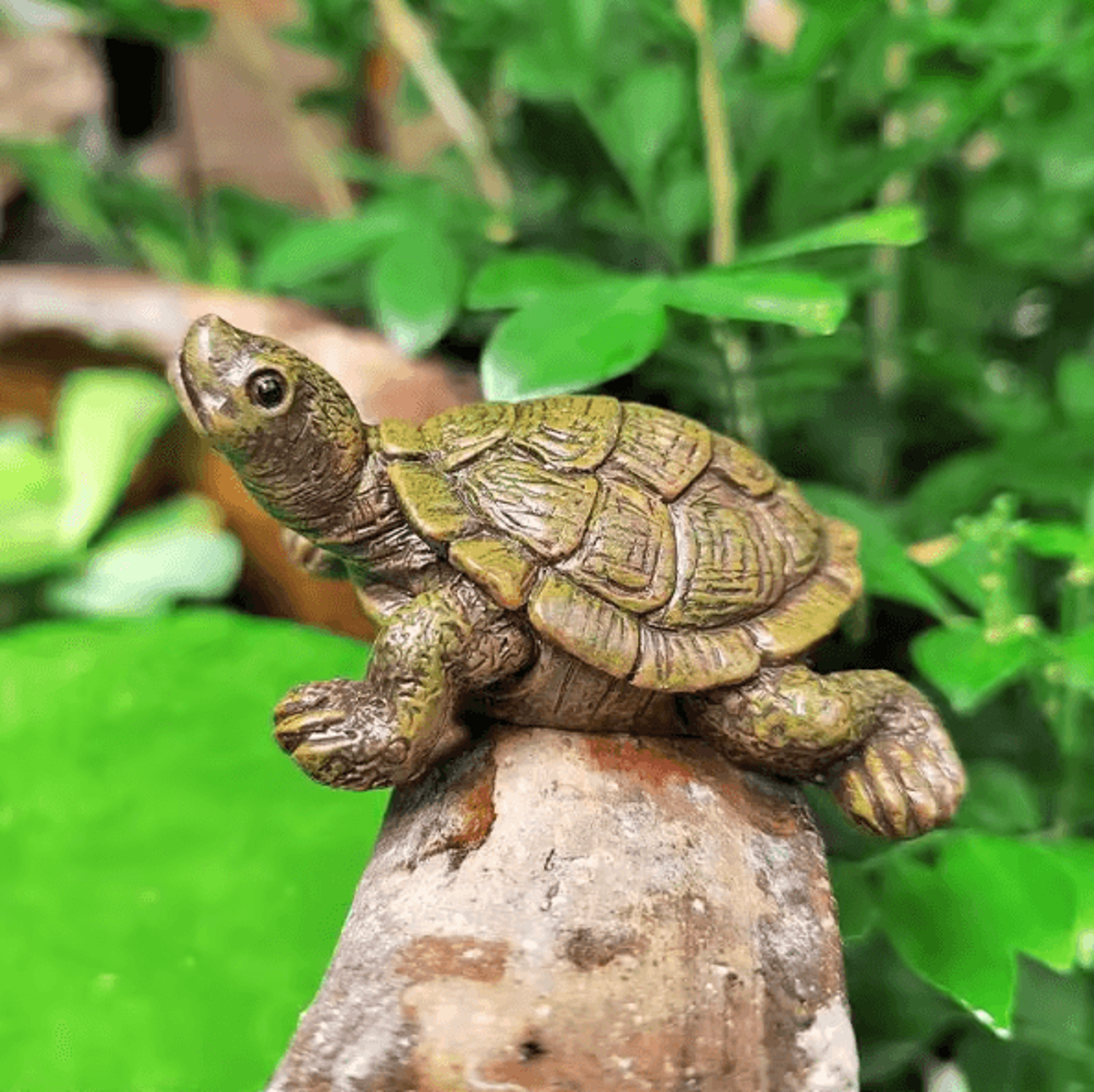 Charming Mini Turtle Statue For Aquarium Fairy Garden And Home Decor 2