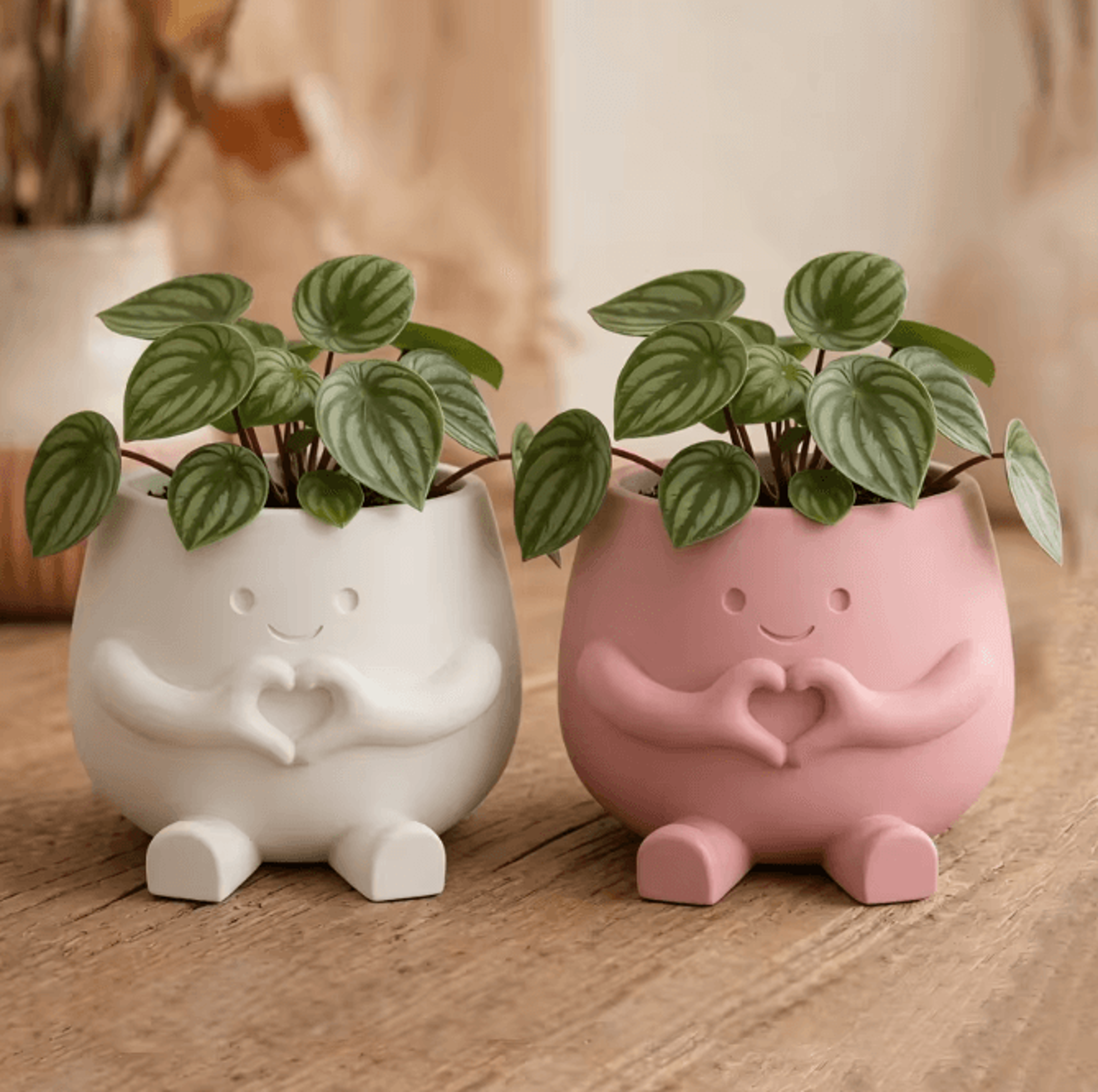 Modern 3D Printed Flower Pot For Succulents Pennywort And Indoor Outdoor Decor 2