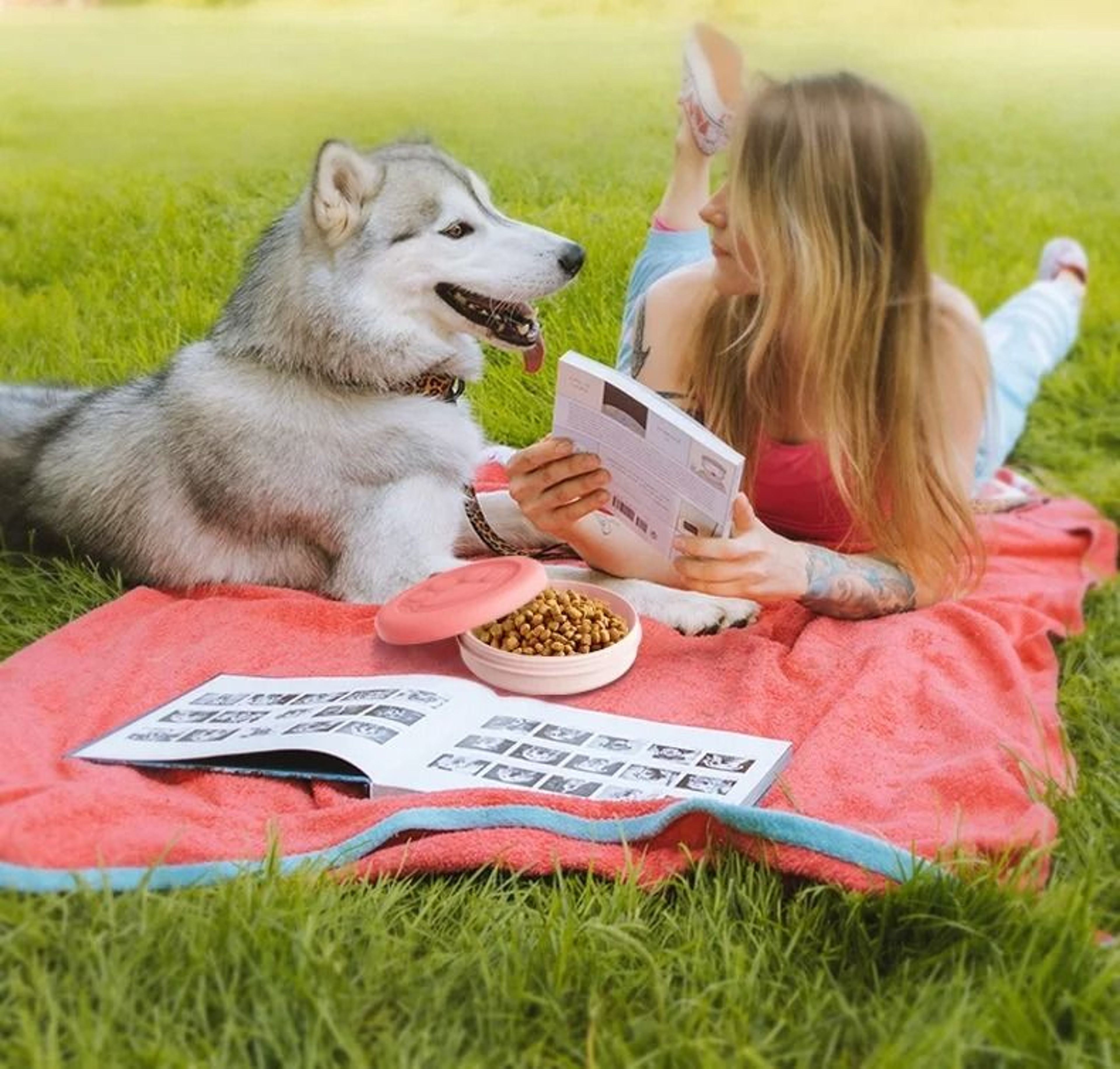 Portable Travel Pet Food And Water Bowl 3