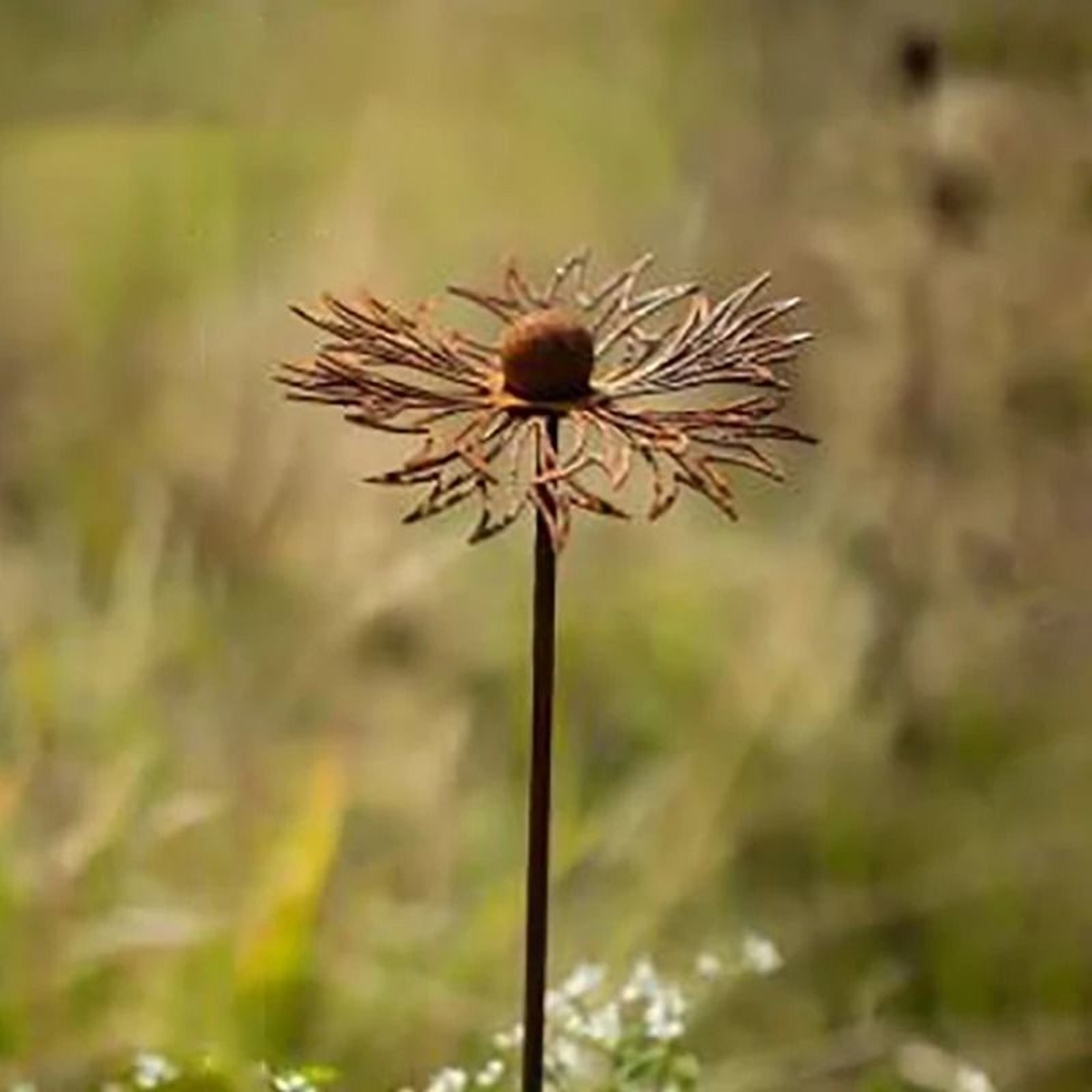 Rustic Metal Bluebonnet Garden Stake With Vintage Rust Finish Outdoor Lawn Ornament 6