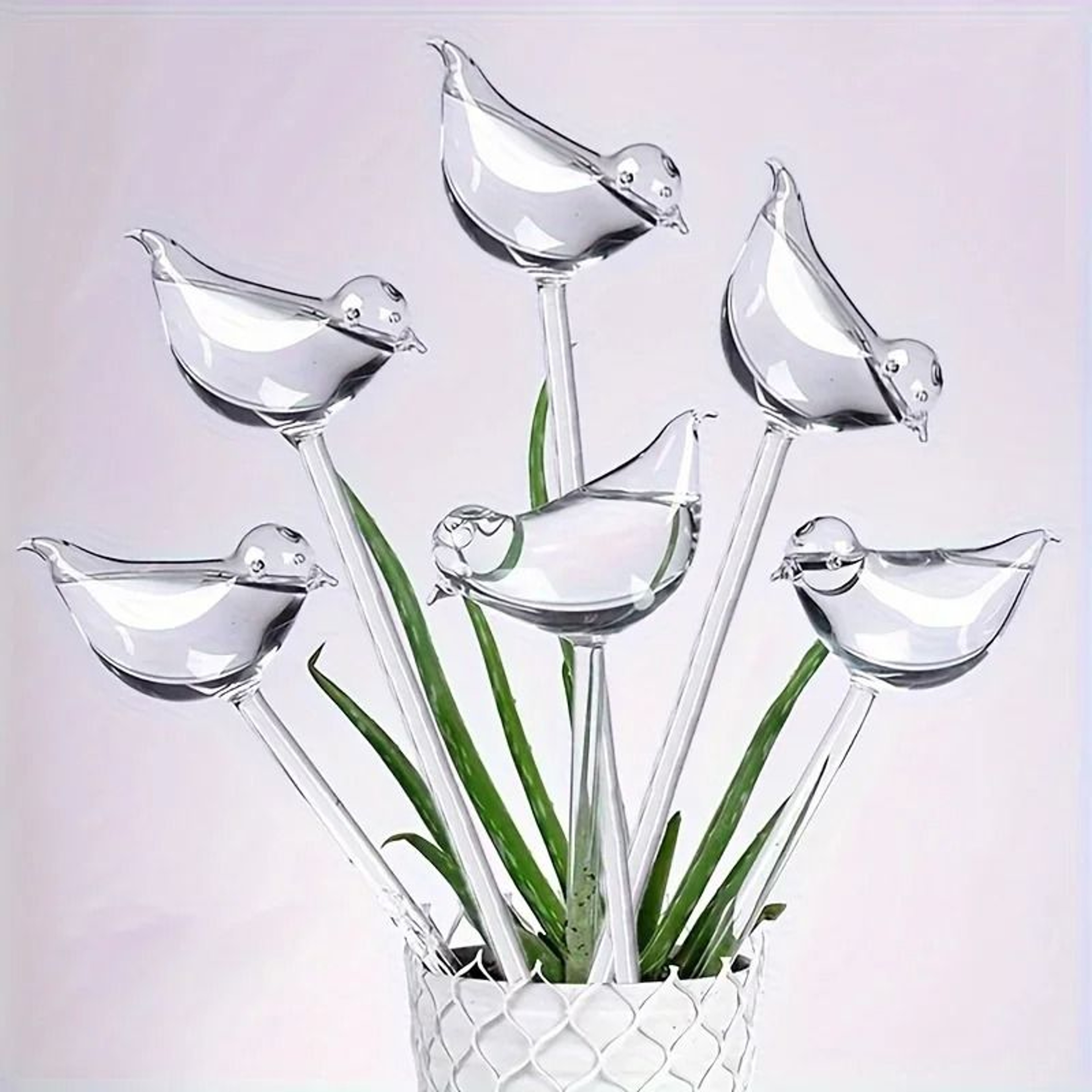BirdShaped Automatic Plant SelfWatering Spikes And Drip Device 4