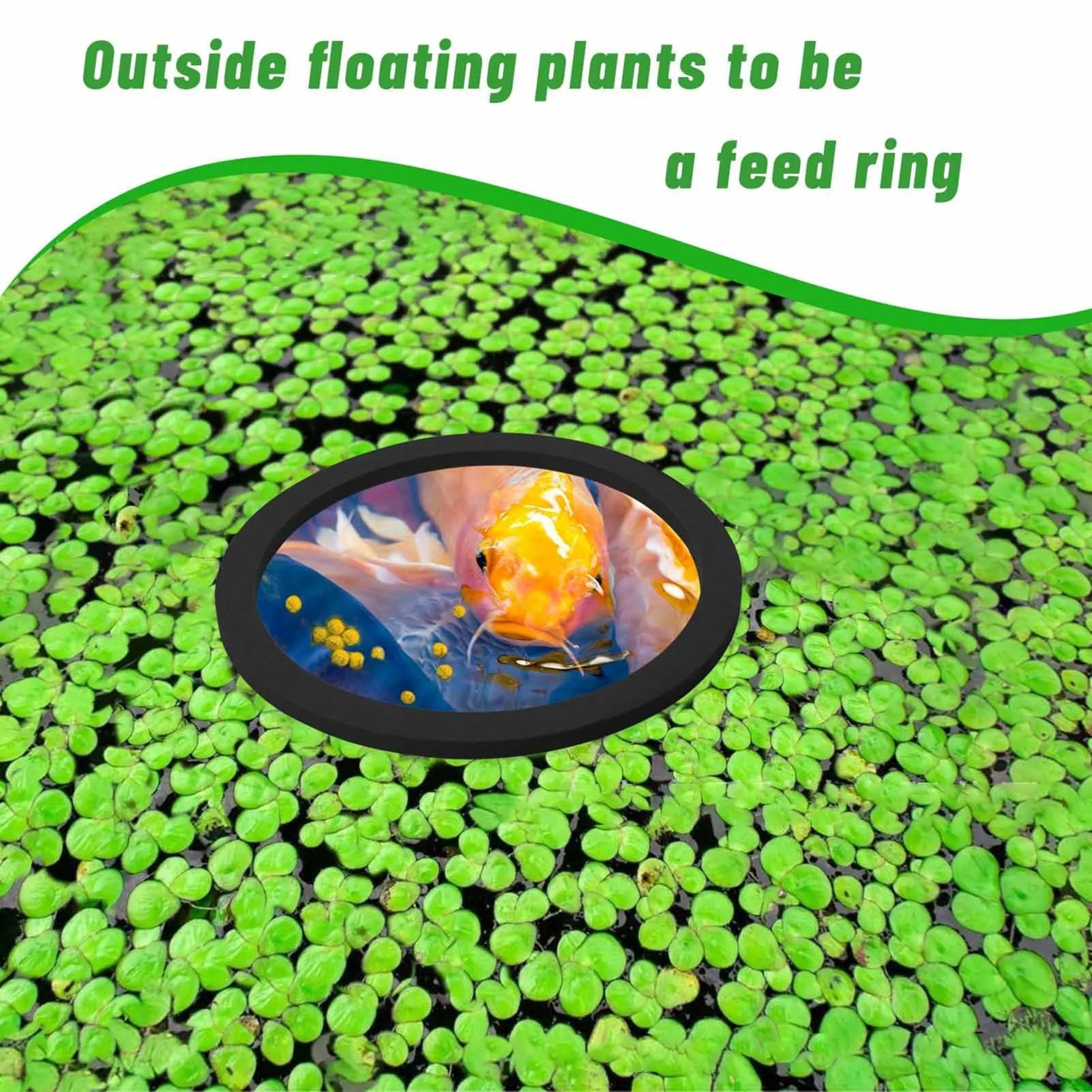 5Piece EVA Floating Aquarium Fish Feeding Ring And Floating Plant Corral Set 4