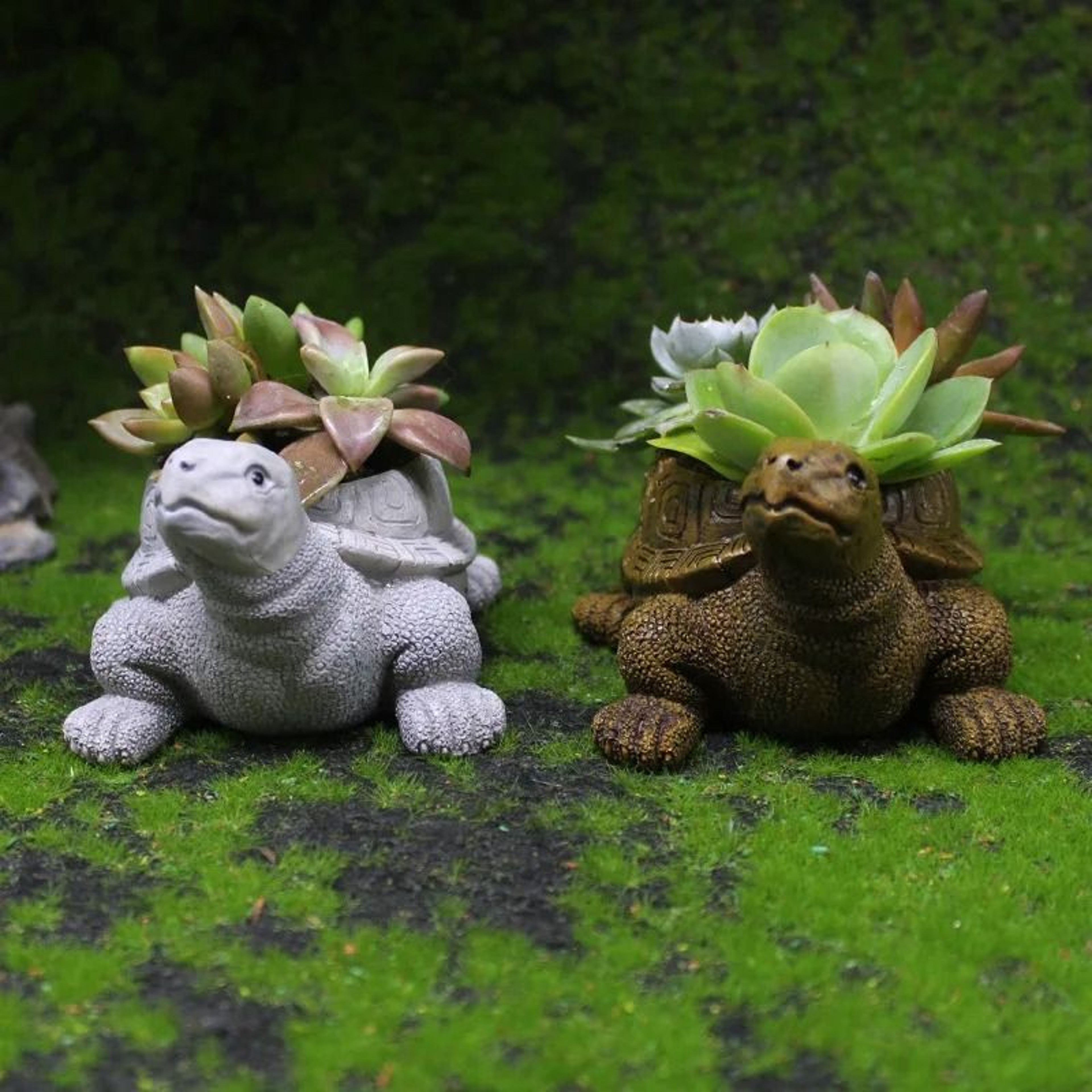Cartoon Turtle Succulent Flower Pot  Decorative Resin Micro Landscape Planter 3