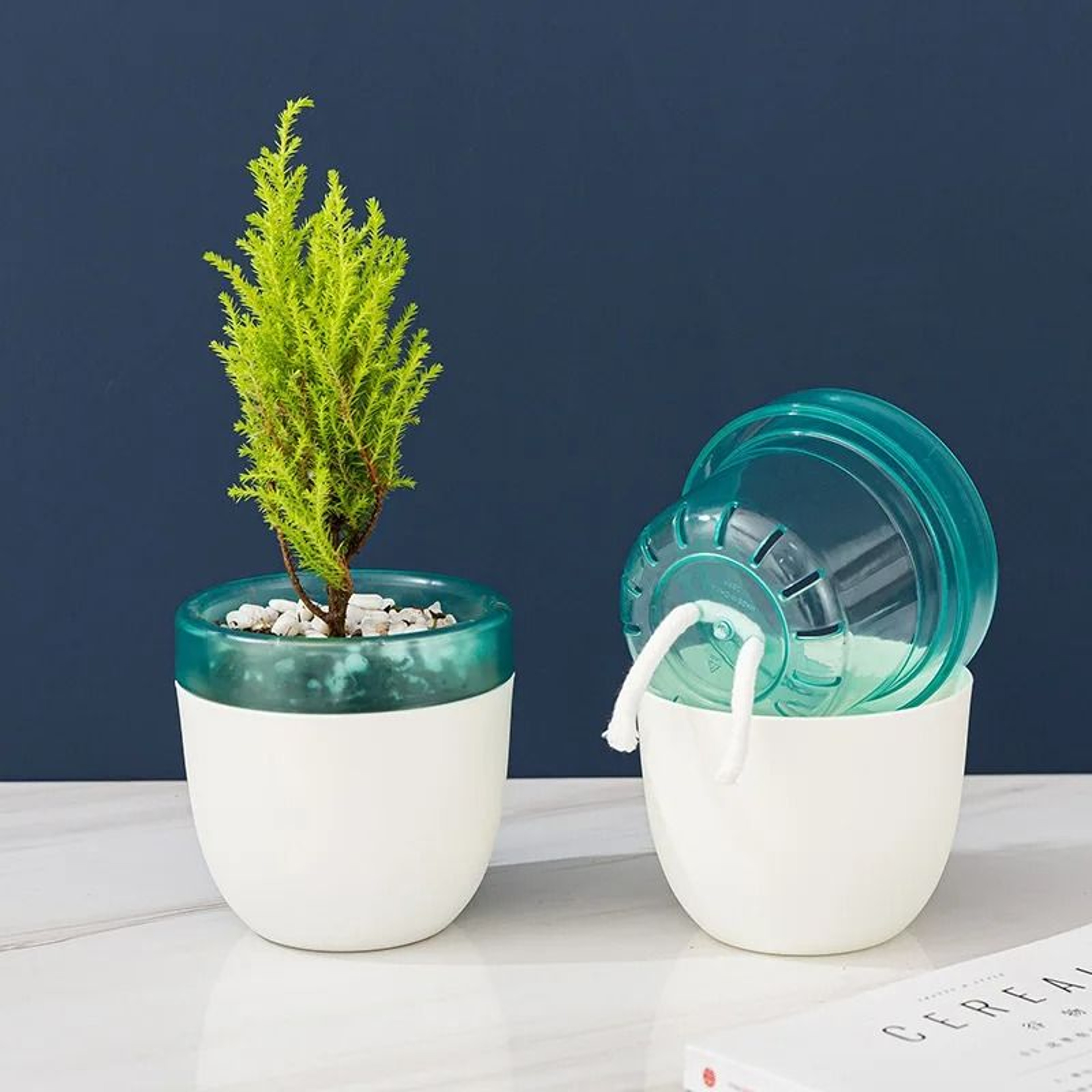 Automatic SelfWatering Hydroponic Flower Pot  Modern Desktop Planter With Water Container 4