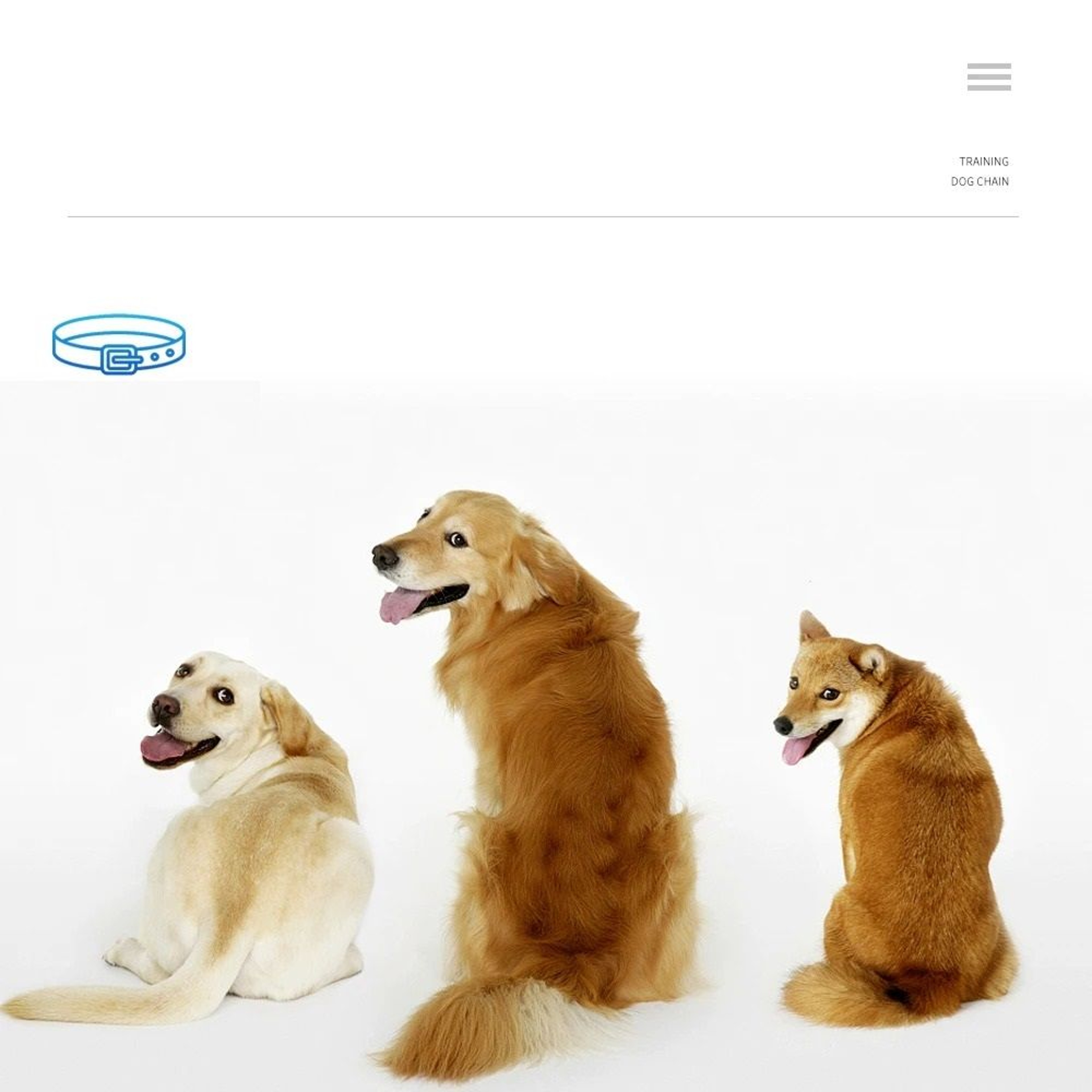 Remote Dog Training Collar 300m Control Rechargeable Electronic Bark Shock Collar For Pet Dogs 3