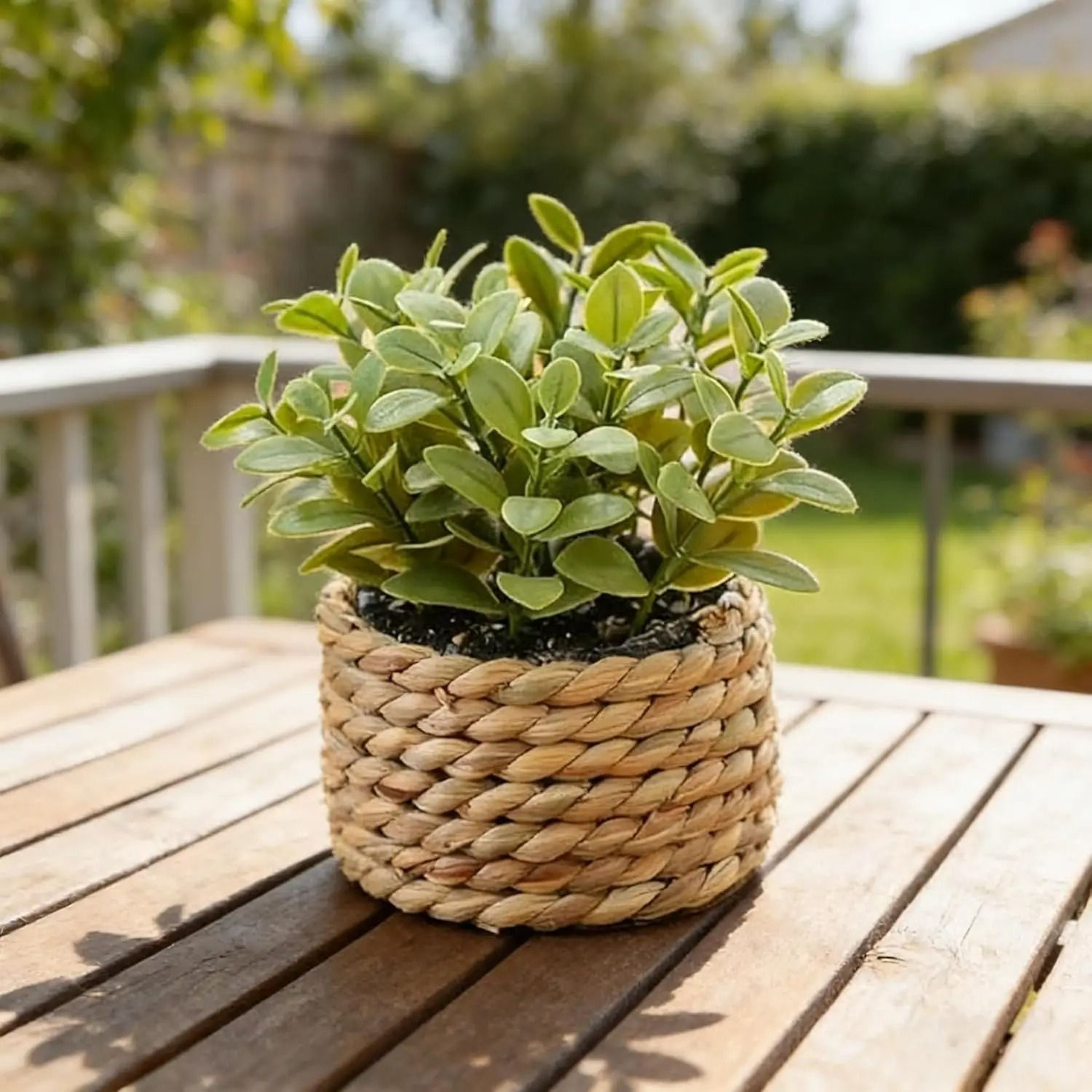 Mini Artificial Potted Eucalyptus Fake Greenery In Grass Woven Pot For Desk Decor 6