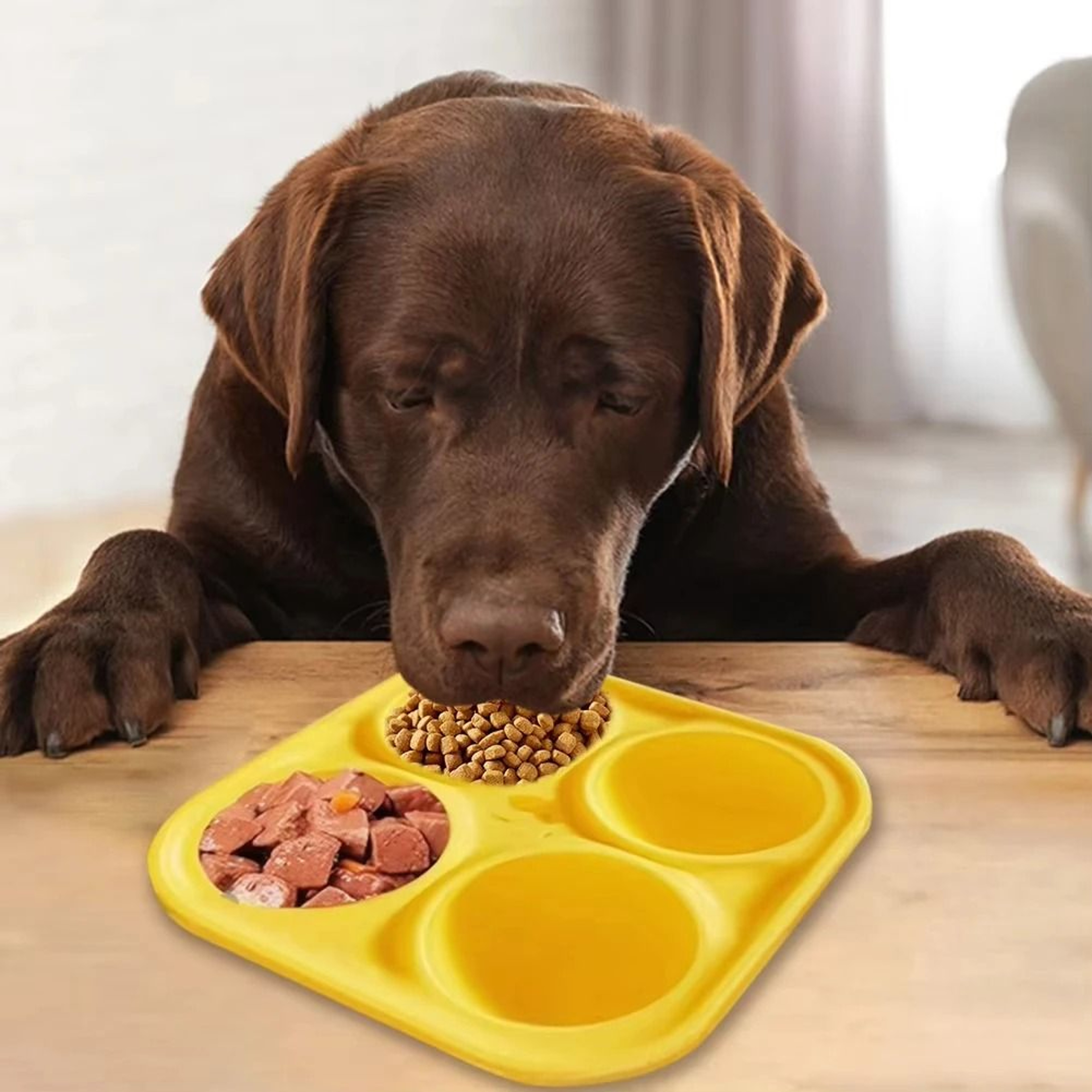 Silicone Dog Chew Toy And Interactive Treat Mold For Boredom Relief 5