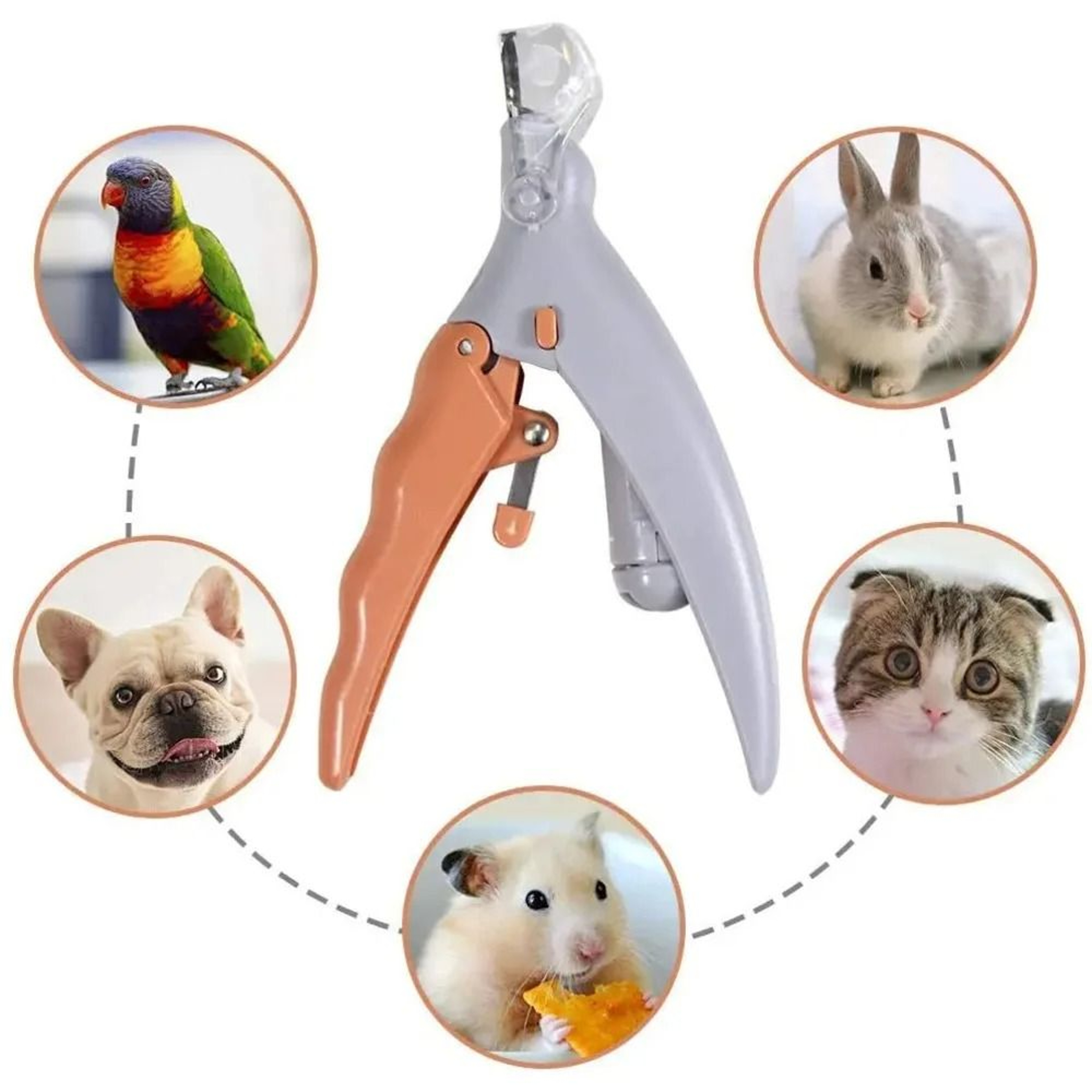 Professional LED Light Pet Nail Clipper Scissors Toe Claw Trimmer For Dogs Cats 1