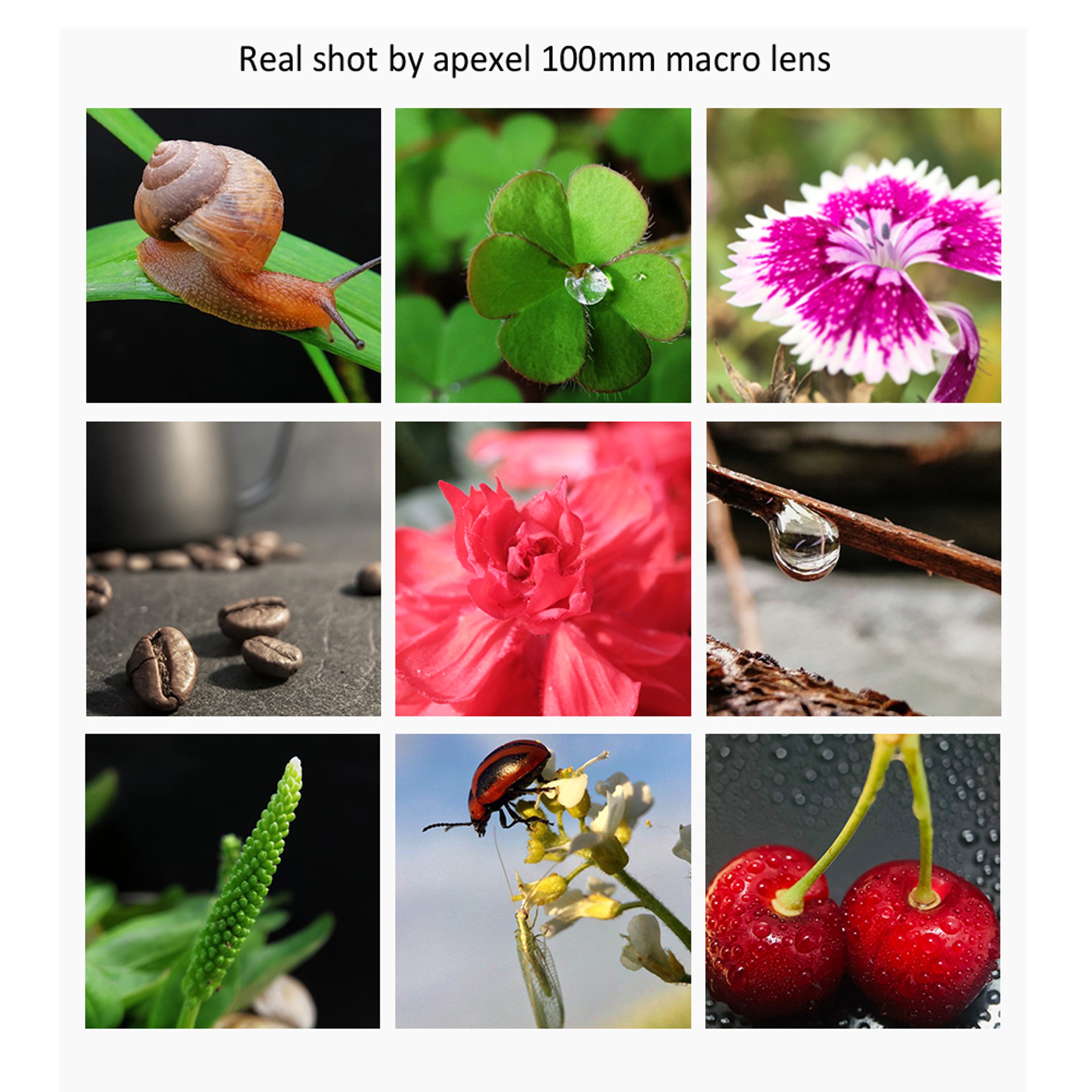 Macro Lens With CPL Filter Universal Smartphone Camera Lens 3