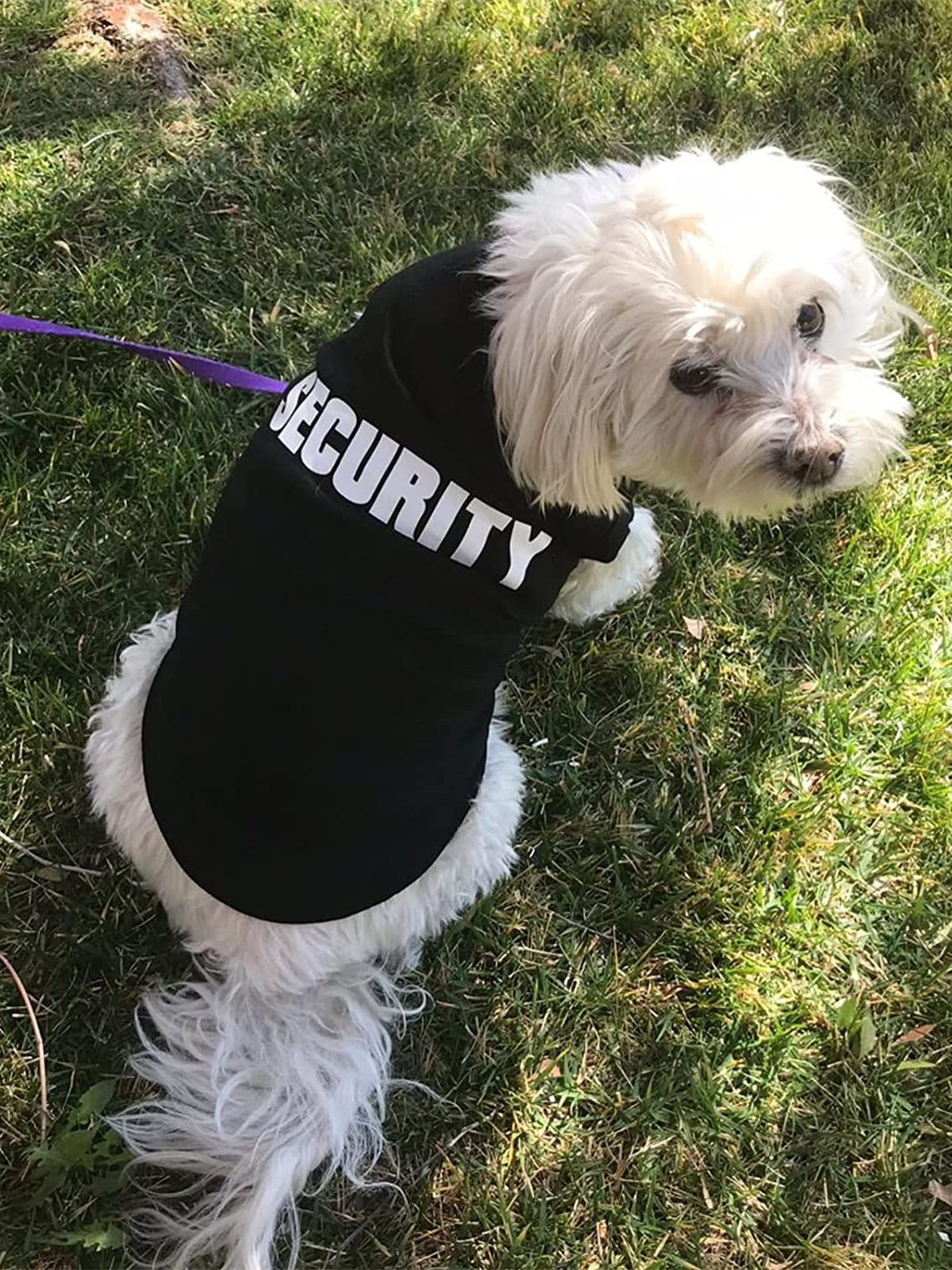 Summer Pet Clothes Vest for Small Dogs Chihuahua Yorkshire Puppy Cats Security Clothing for Dogs T-shirt – view 7