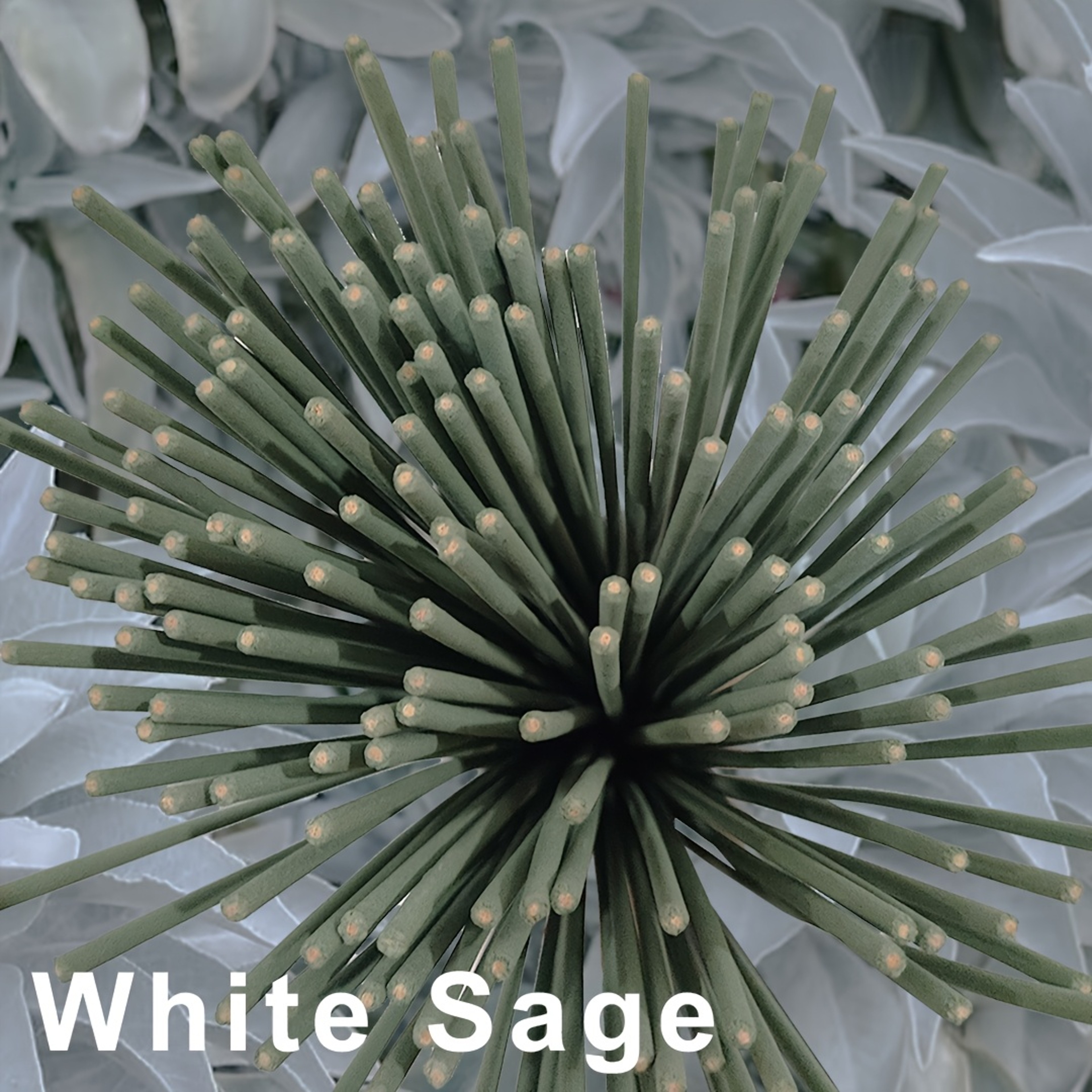 Outdoor Incense Coils White Sage Lavender Refreshing Mint Aromatherapy Fragrance For Patio Porch Po 2