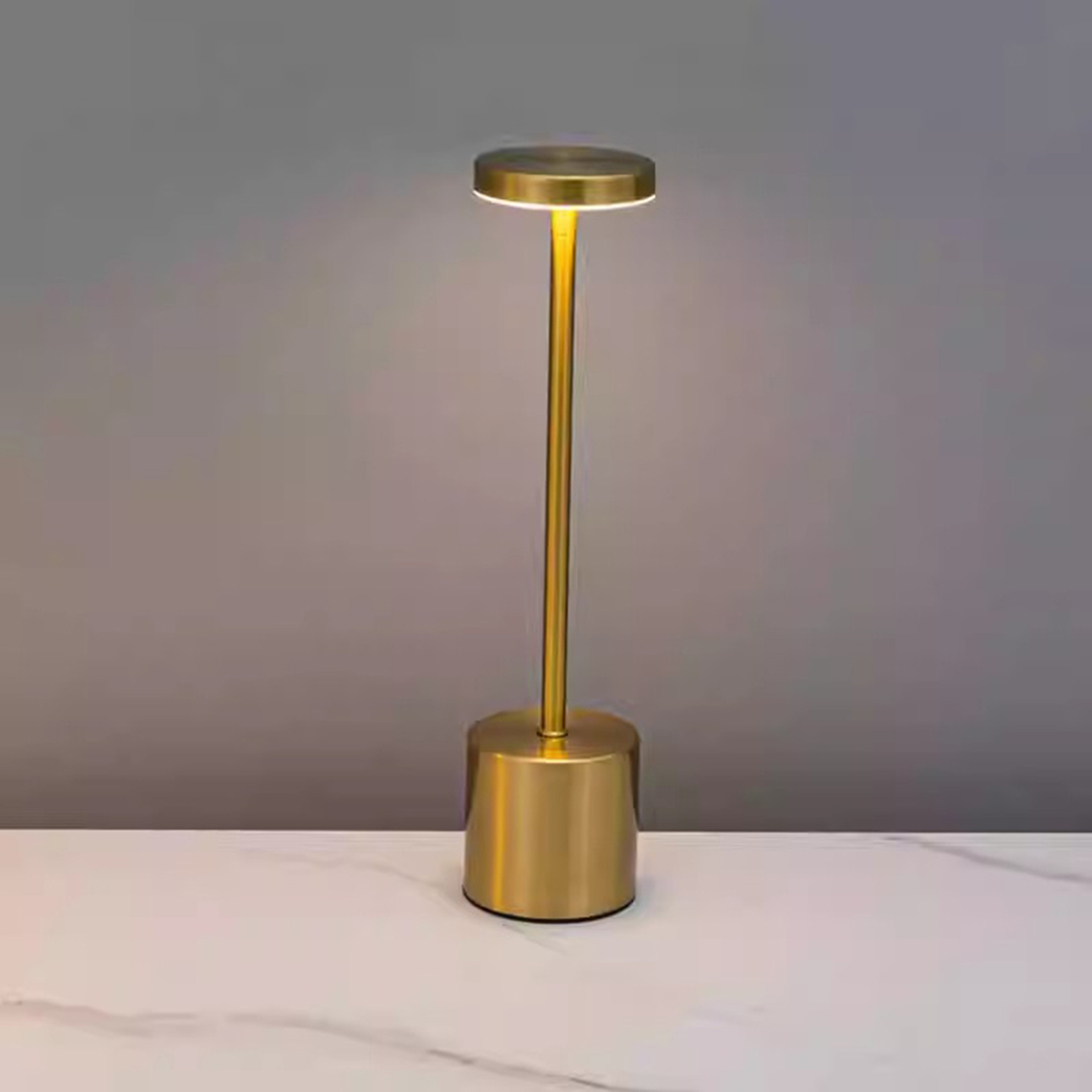 Rechargeable LED Cordless Touch Table Lamp Colors Adjustable Desk Lamp Creative Ambient Light For B 2