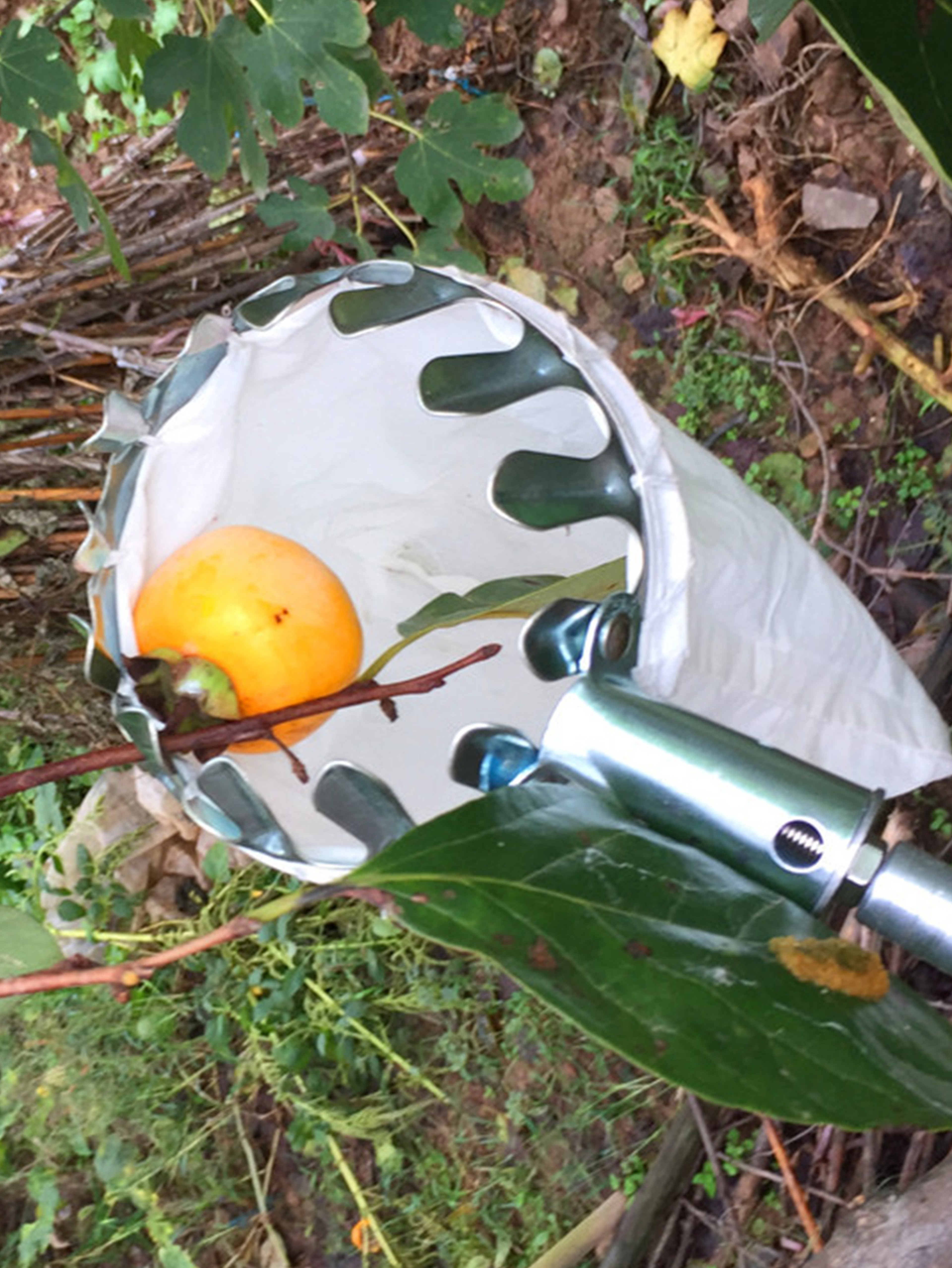 High Altitude Telescopic Fruit Picker Tools Garden Fresh Orange Catcher Pole 0
