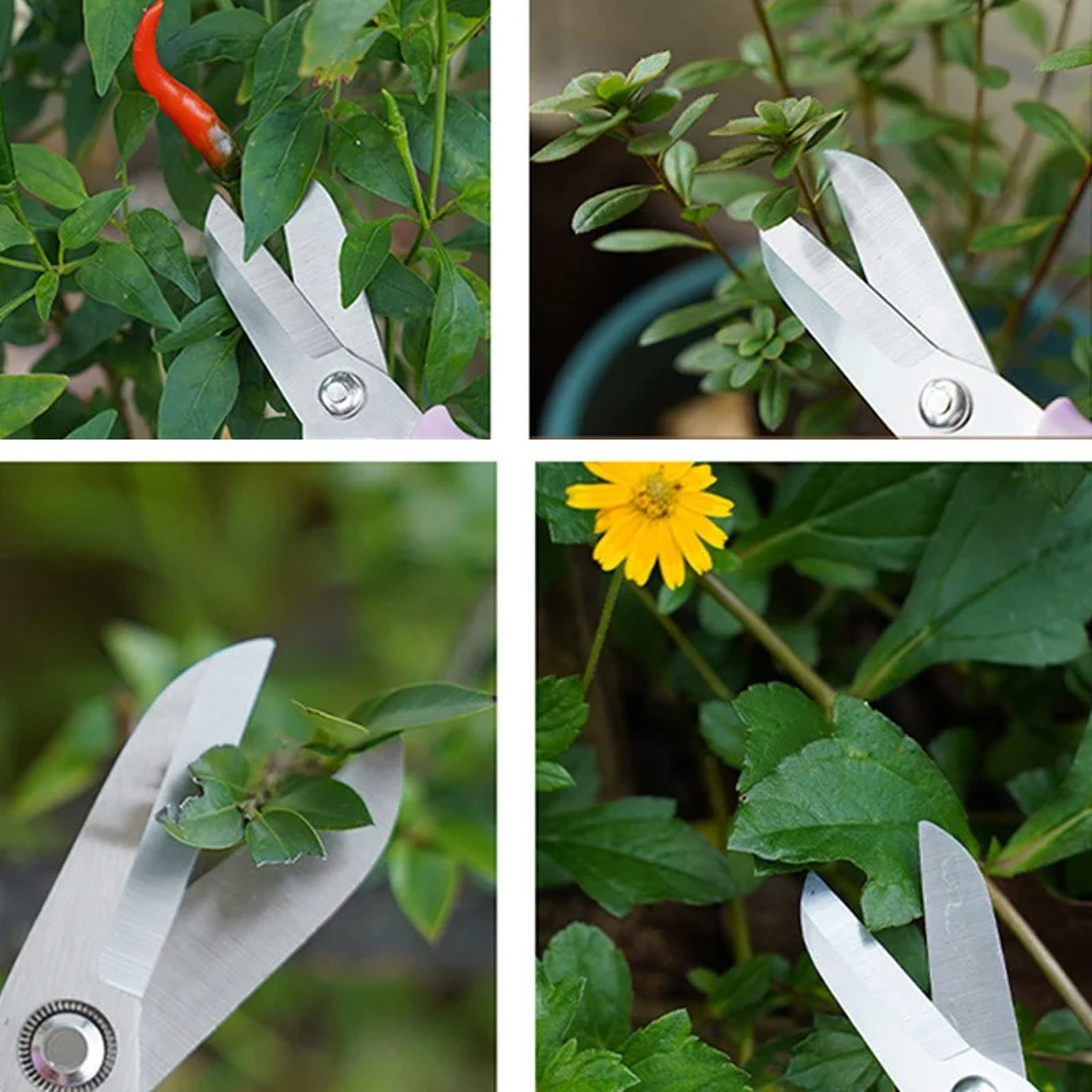 Floral Shears Professional Flower Scissors Comfortable Grip Pruning Shears Bonsai Scissors 3