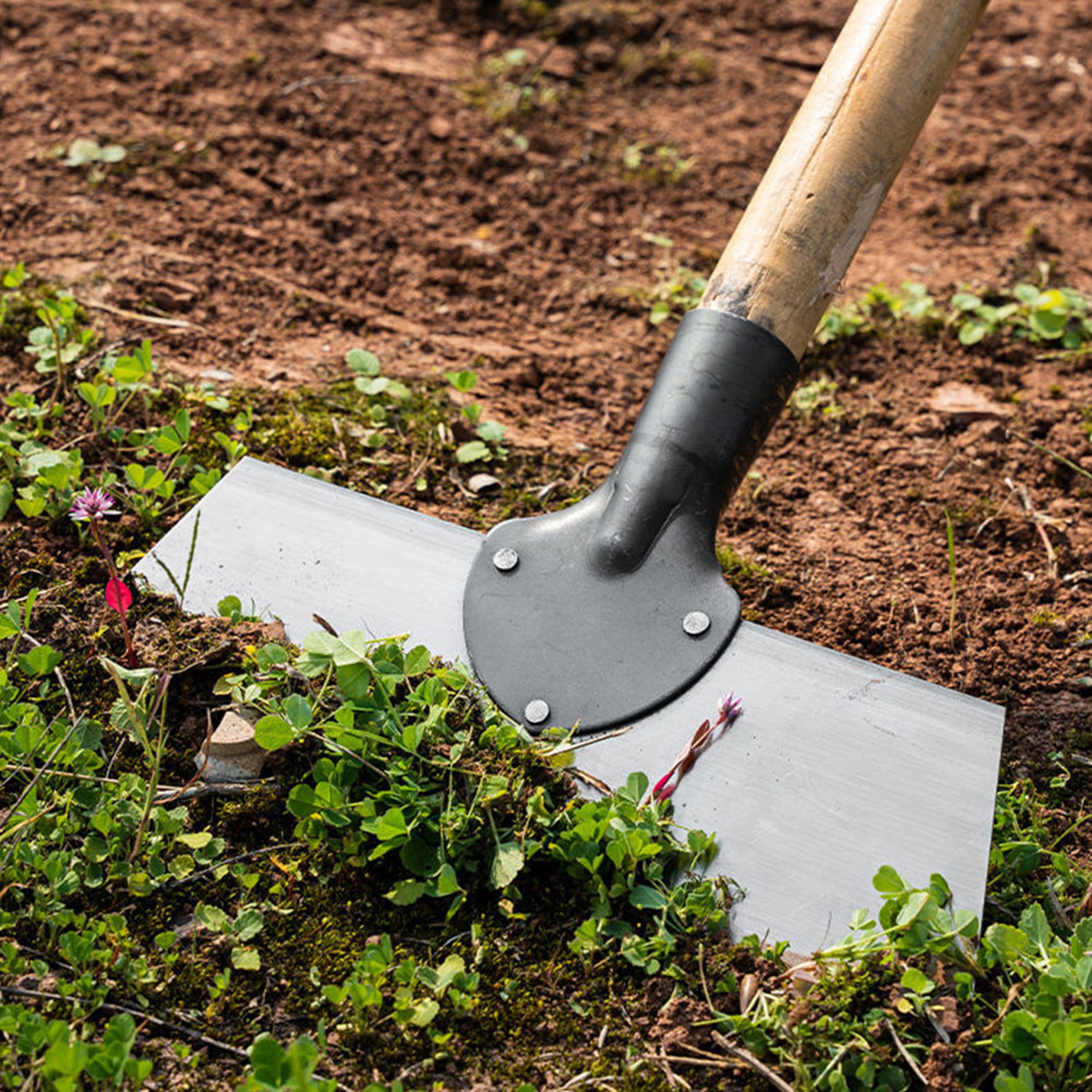 Manganese Steel Flat Shovel Multifunctional Garden Tool For Planting Weeding Deicing Manure Removal 3