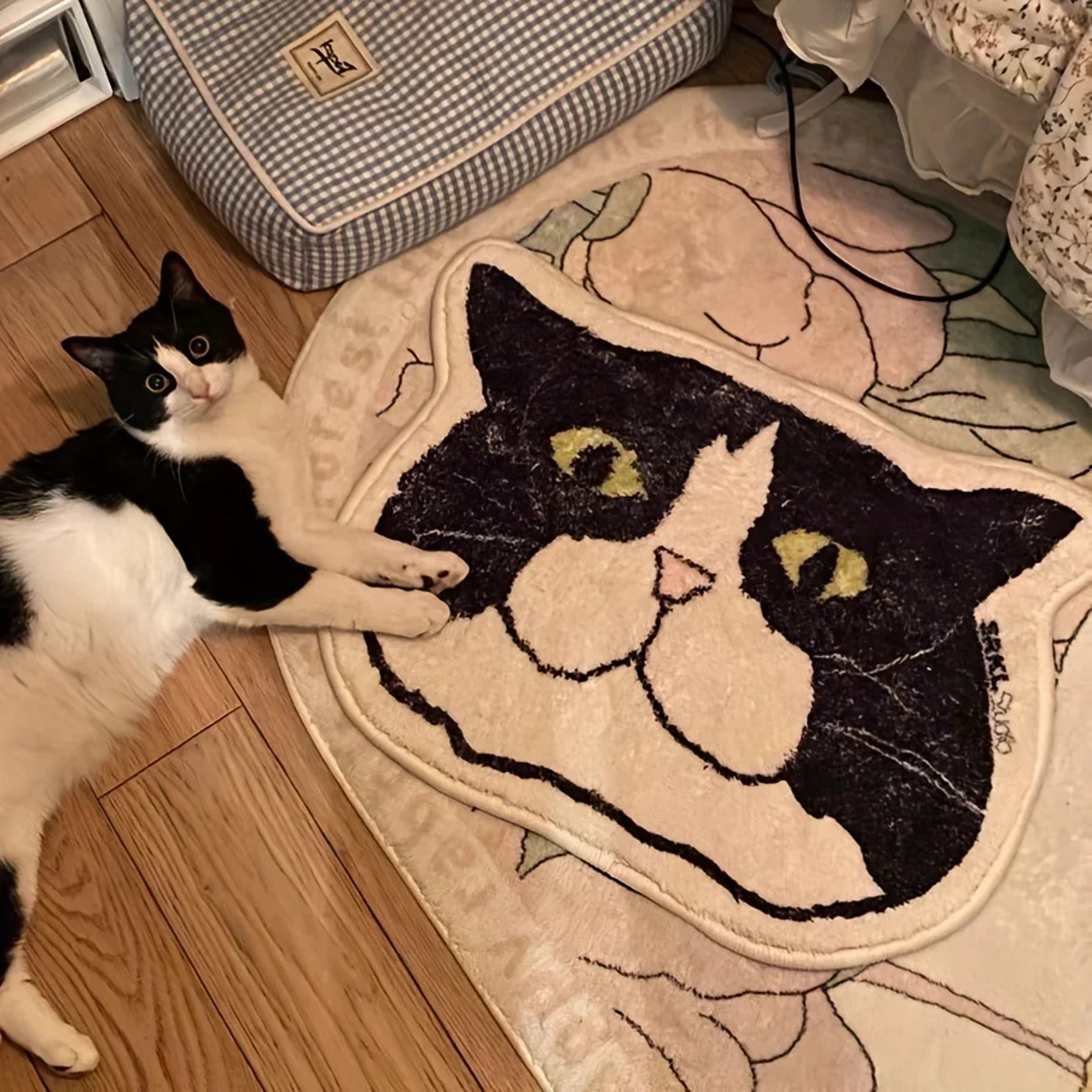 Waterproof Anti Slip Cat Floor Mat Stain Resistant Perfect For Bathroom Bedroom Kitchen 2