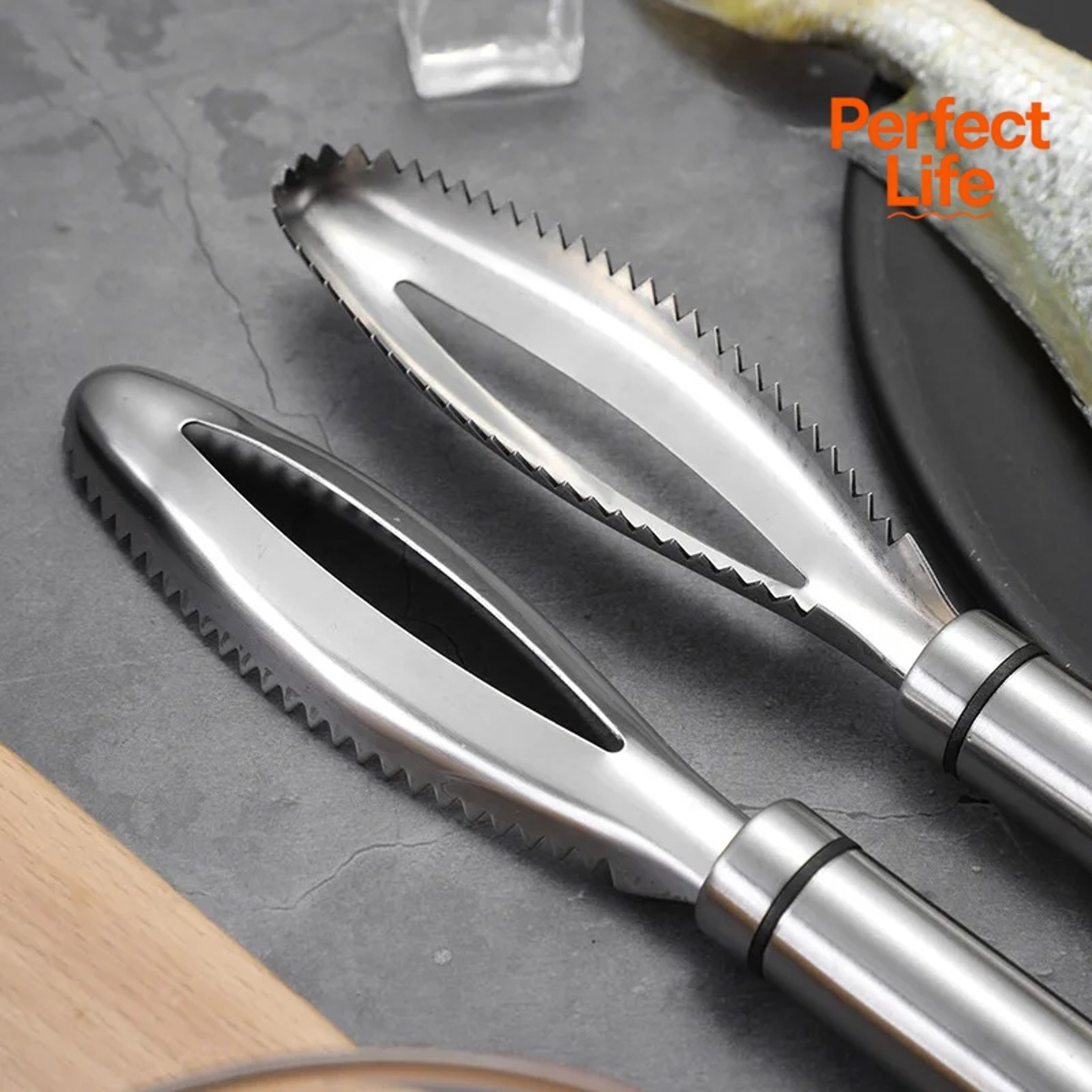 Fish Scales Removal Tool Stainless Steel Grater Peeler Scraper Fast Cleaner Tweezers For Easy Fish  4