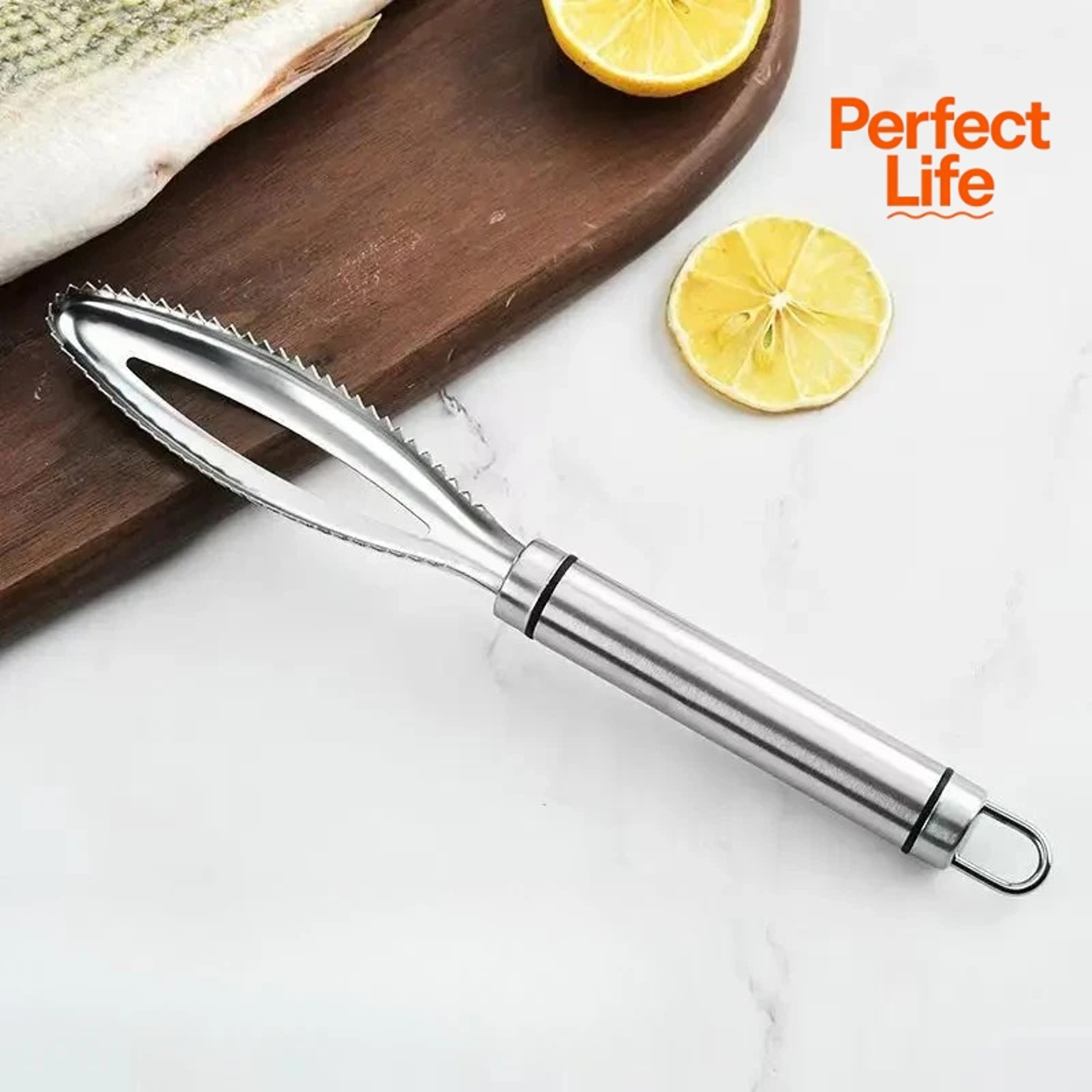 Fish Scales Removal Tool Stainless Steel Grater Peeler Scraper Fast Cleaner Tweezers For Easy Fish  5