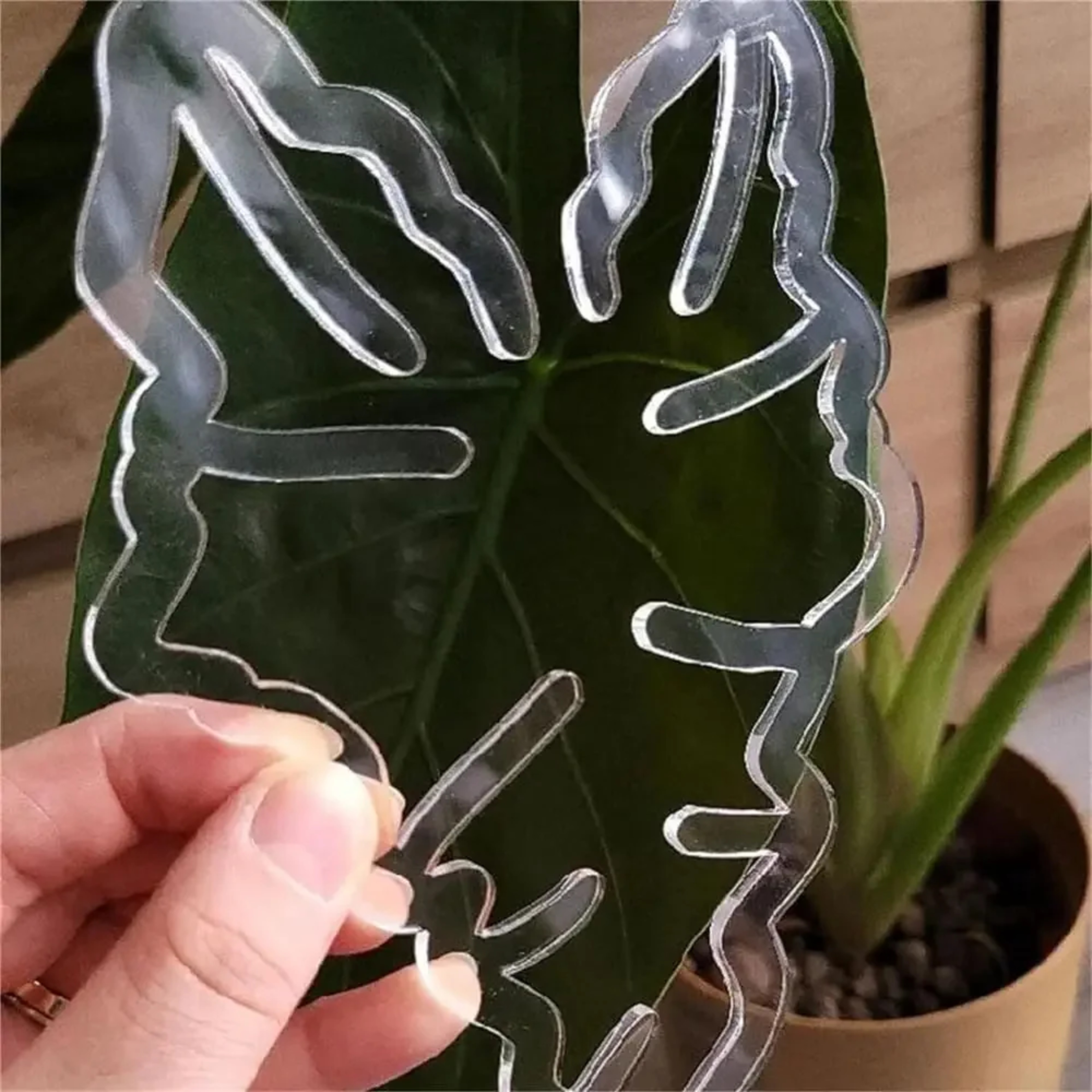 Reusable Turtle Shell Bamboo Clamp Plant Stem Support Holder For Indoor And Outdoor Flower Lovers 2