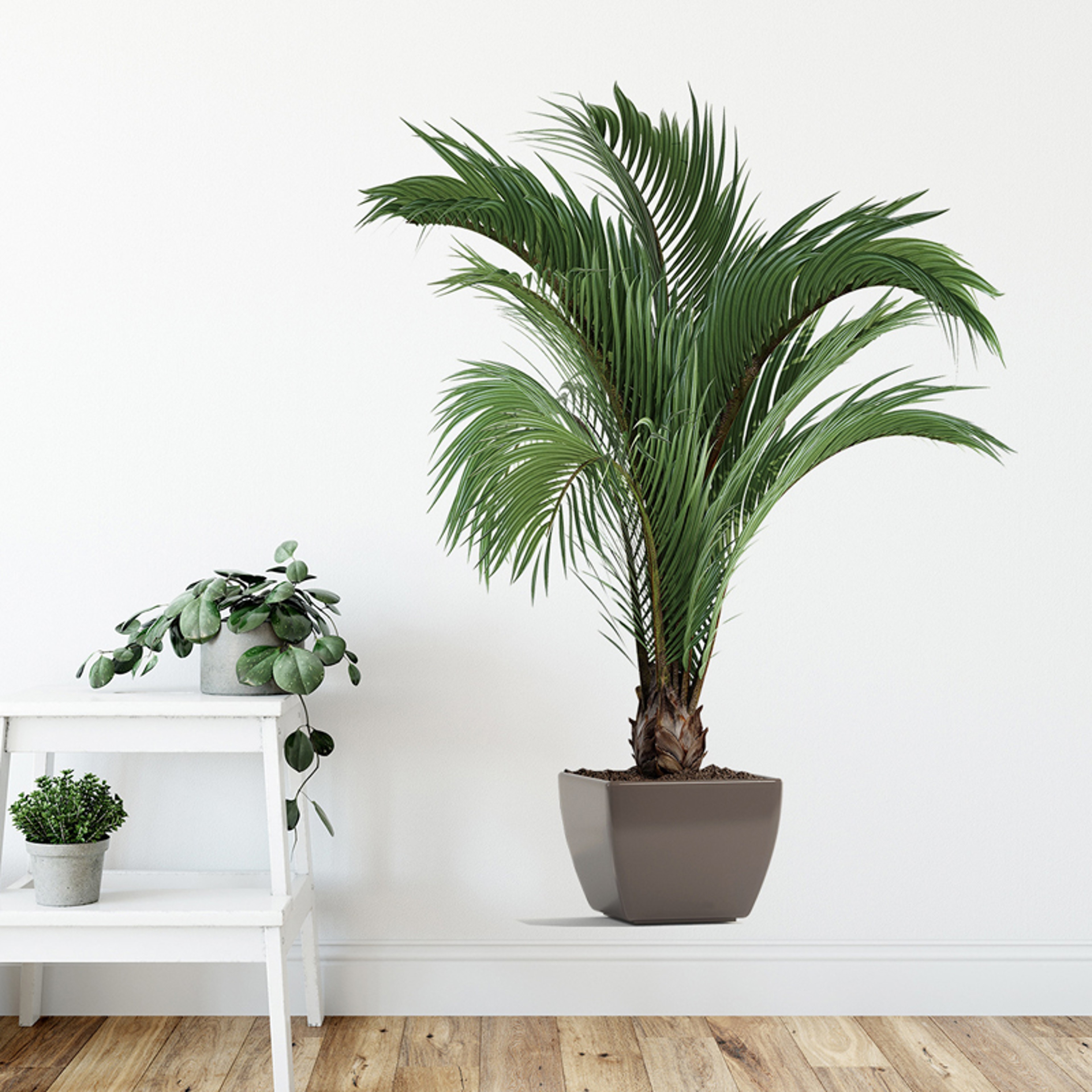 Simulation Flower Pots Wall Decals Greenery Potted Plants Entrance Bedroom Living Room Wall Sticker 2