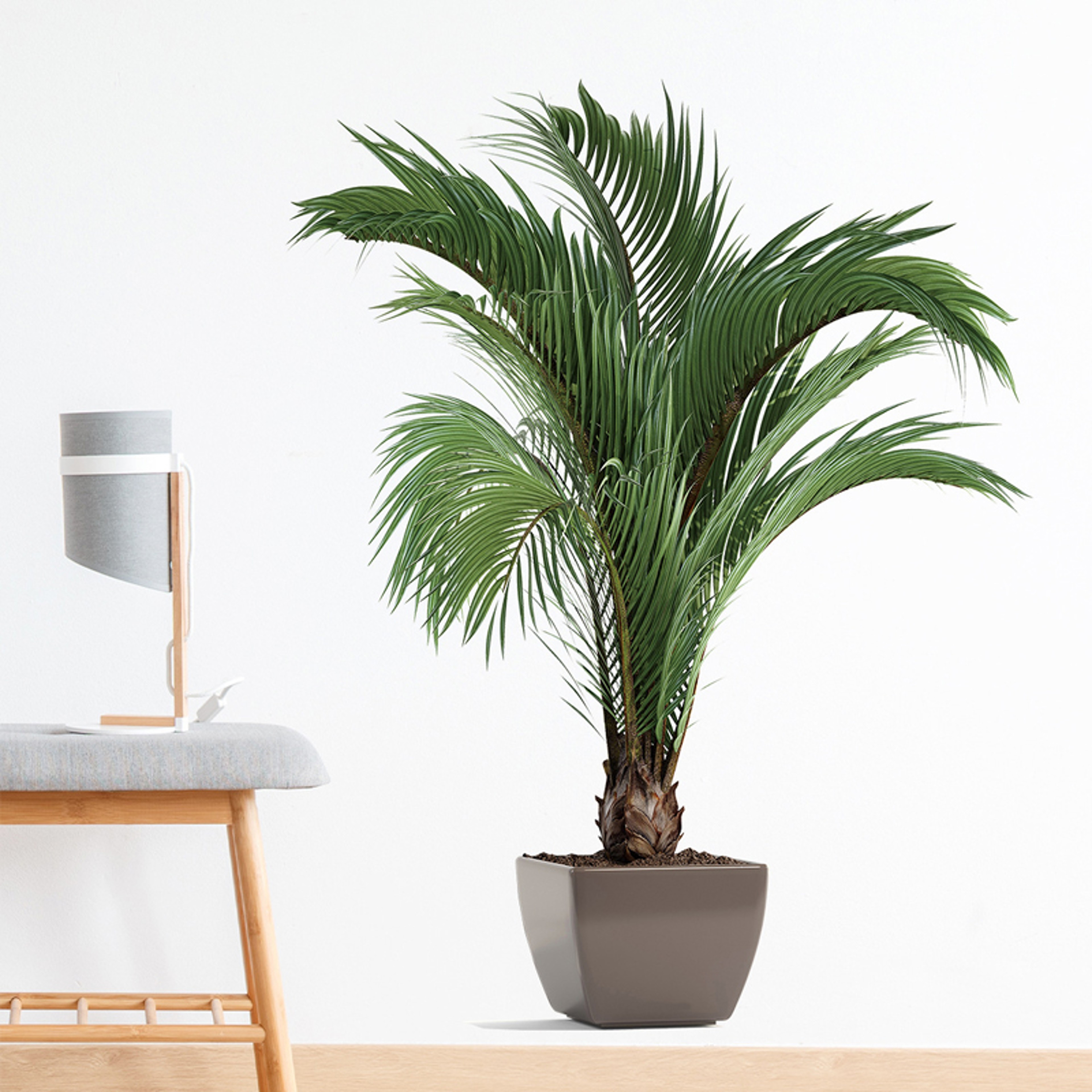 Simulation Flower Pots Wall Decals Greenery Potted Plants Entrance Bedroom Living Room Wall Sticker 4