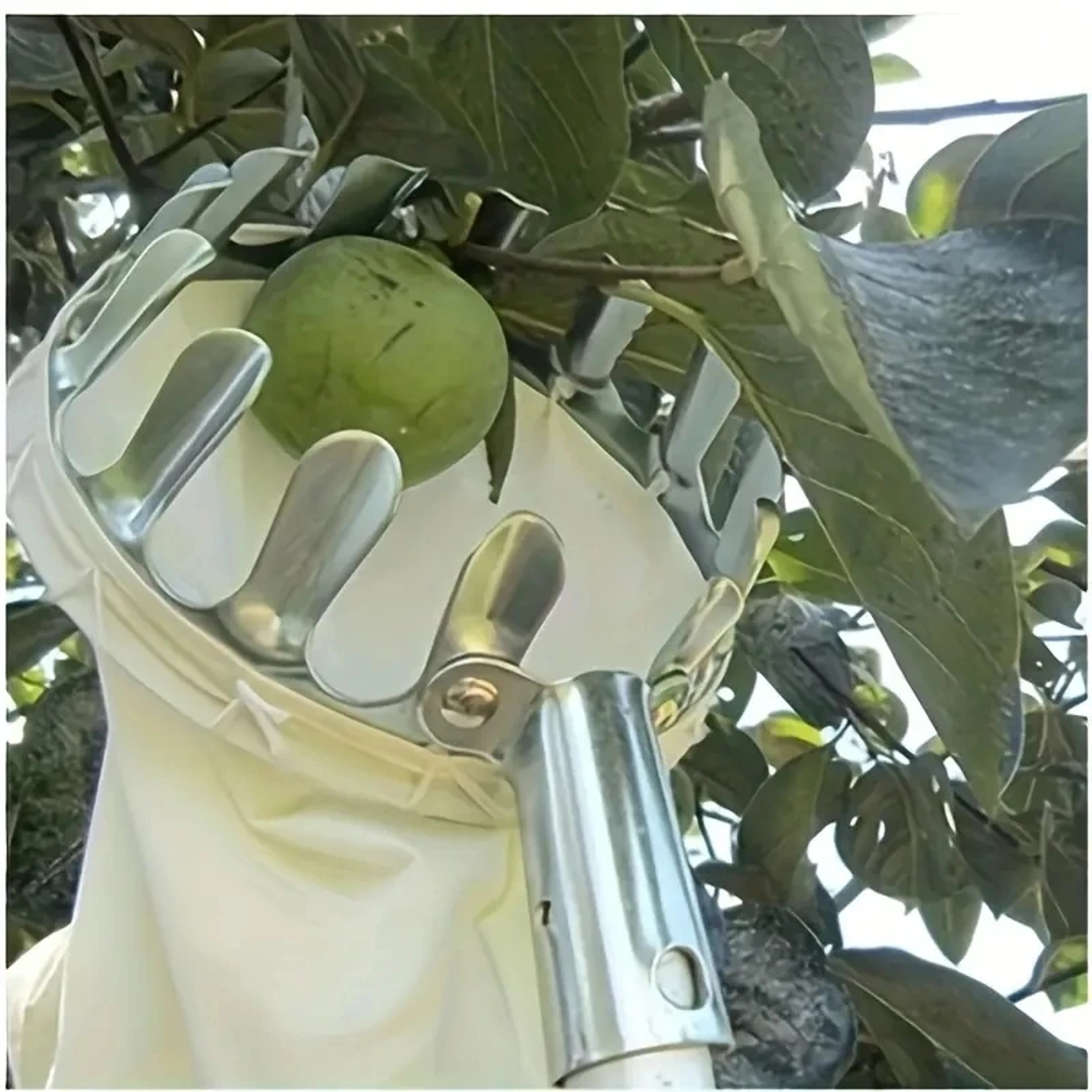 Metal Fruit Picker High Altitude Fruit Picker Portable Fruit Picker Agricultural Gardening Hardware 2