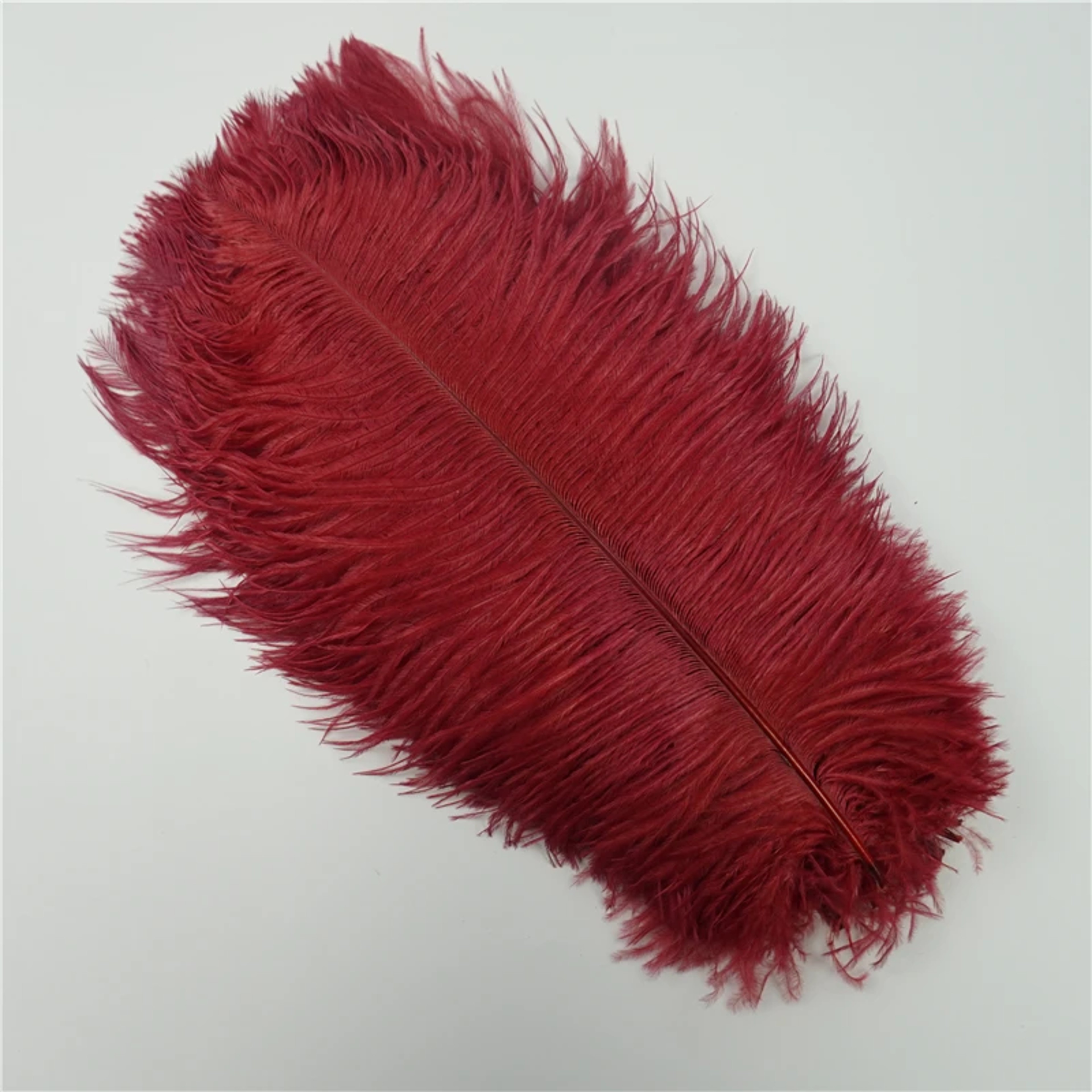 Colored Ostrich Feathers For Crafts Wedding  Event Decoration Handicraft Accessories For Table Cent 4
