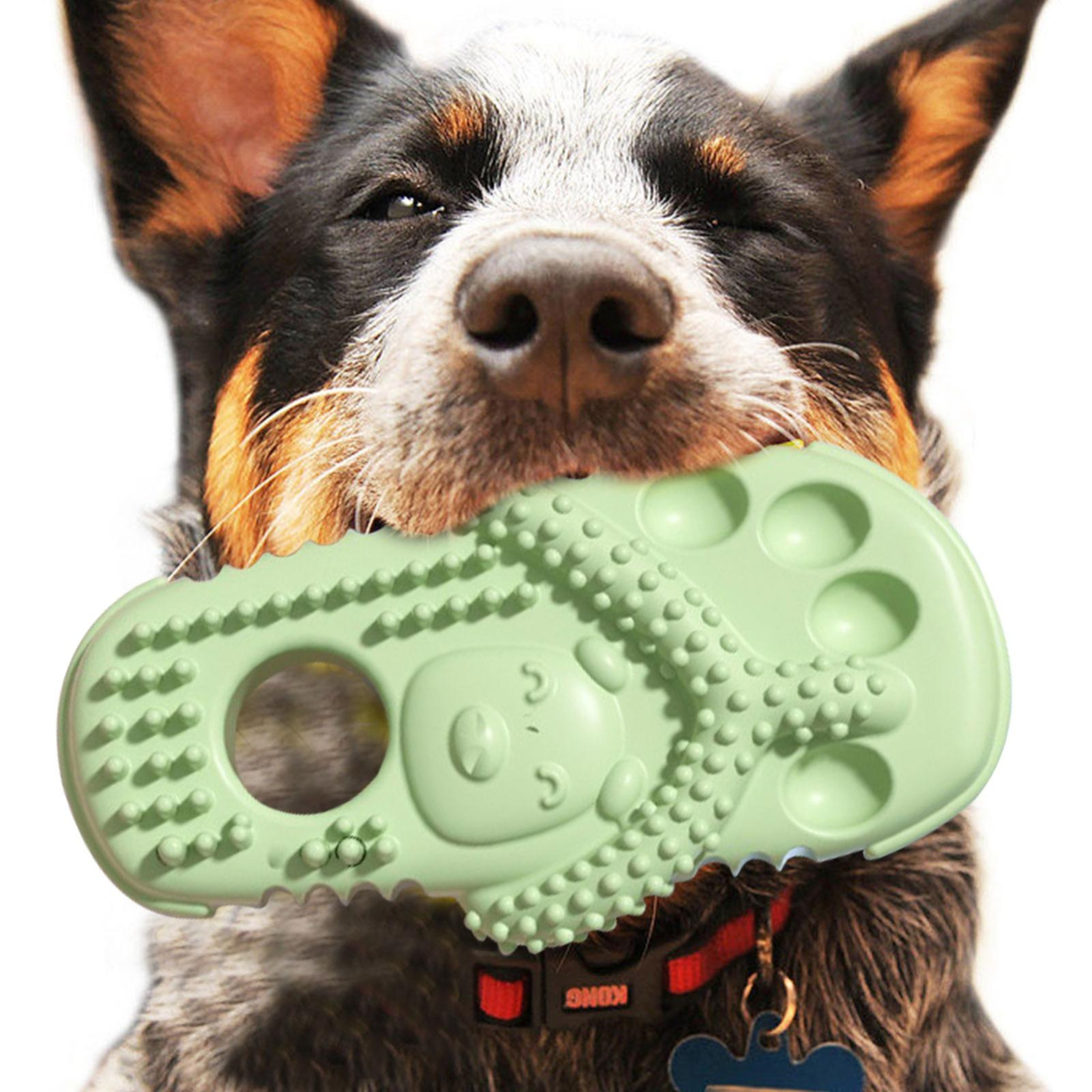 Durable Dog Chew Toy For Teeth Cleaning TPR Slipper Bite Toy 5