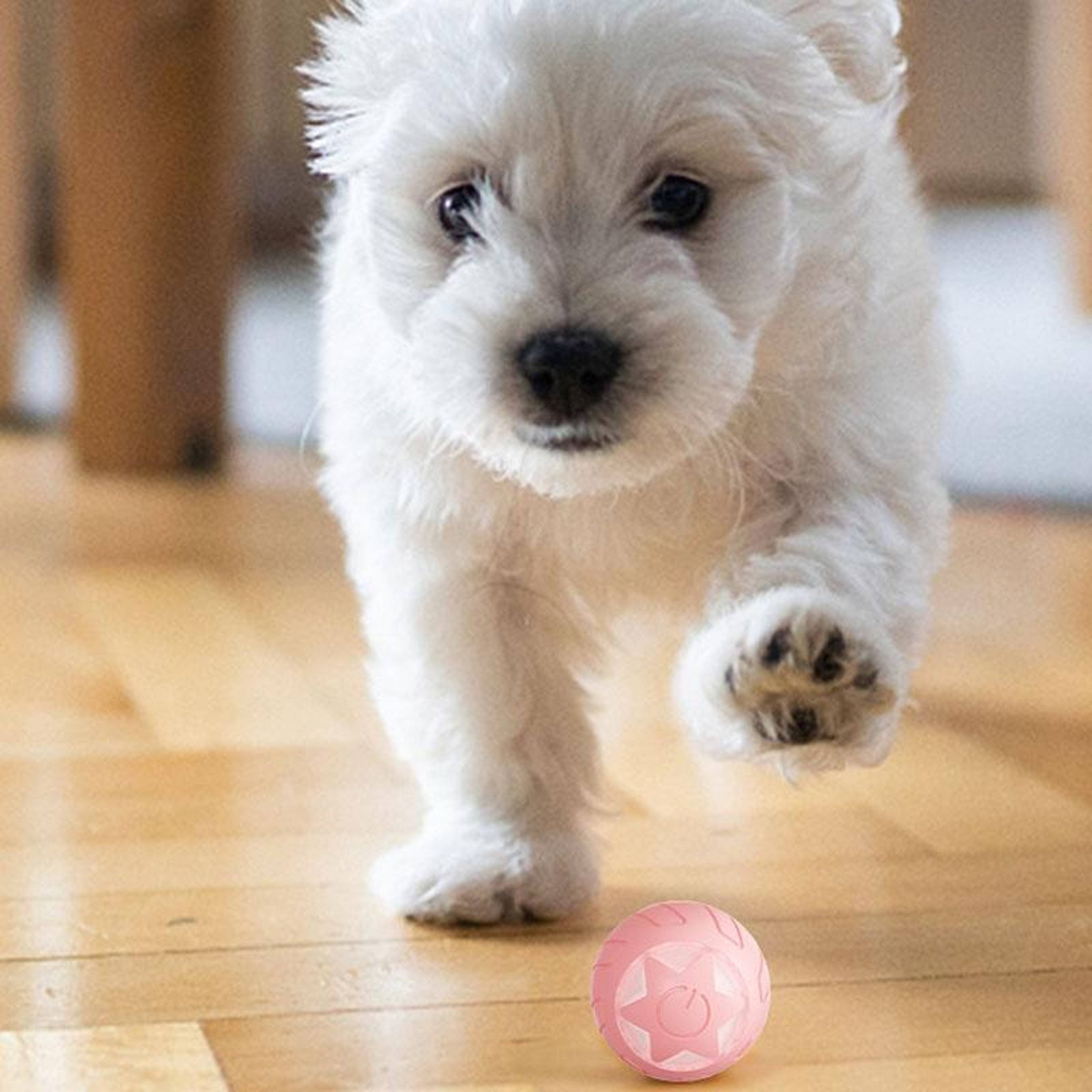 Smart Interactive Cat Ball Toy With LED Light And Motion Sensor For Indoor Pets 10