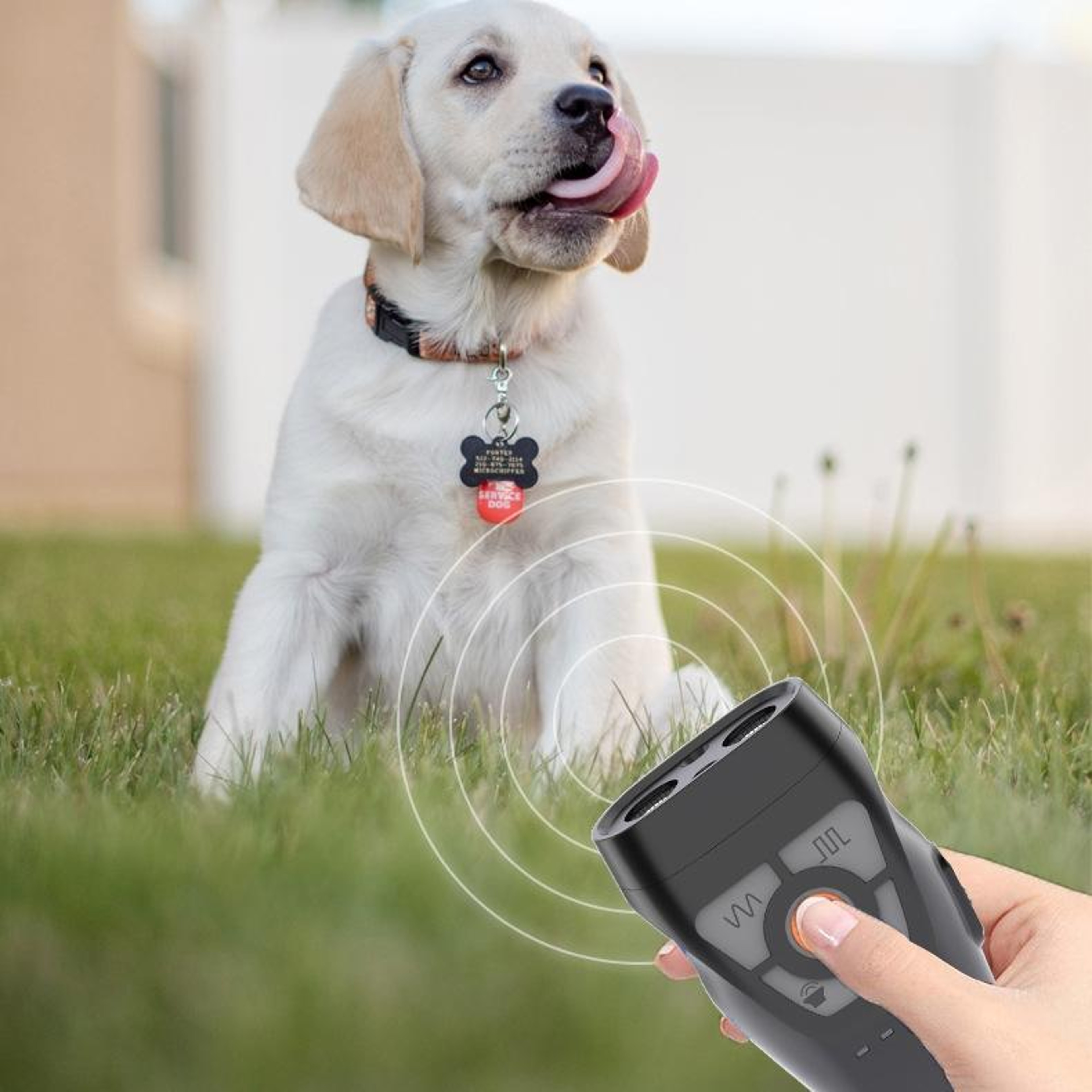 Ultrasonic Dog Repeller  Trainer With Flashlight And Power Bank 1