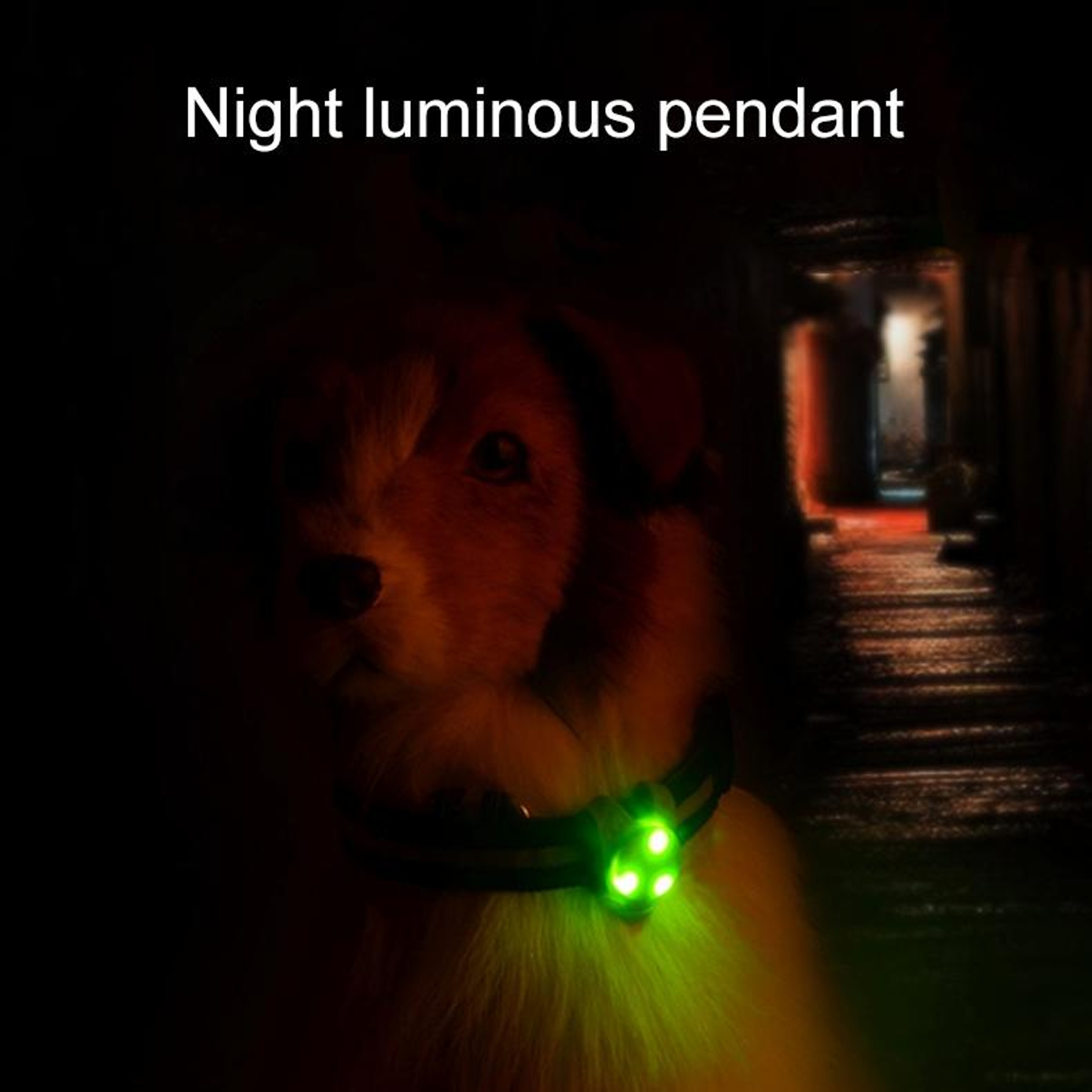 LED Pet Safety Collar Light Waterproof Silicone Pendant For Night Walking Dogs 5