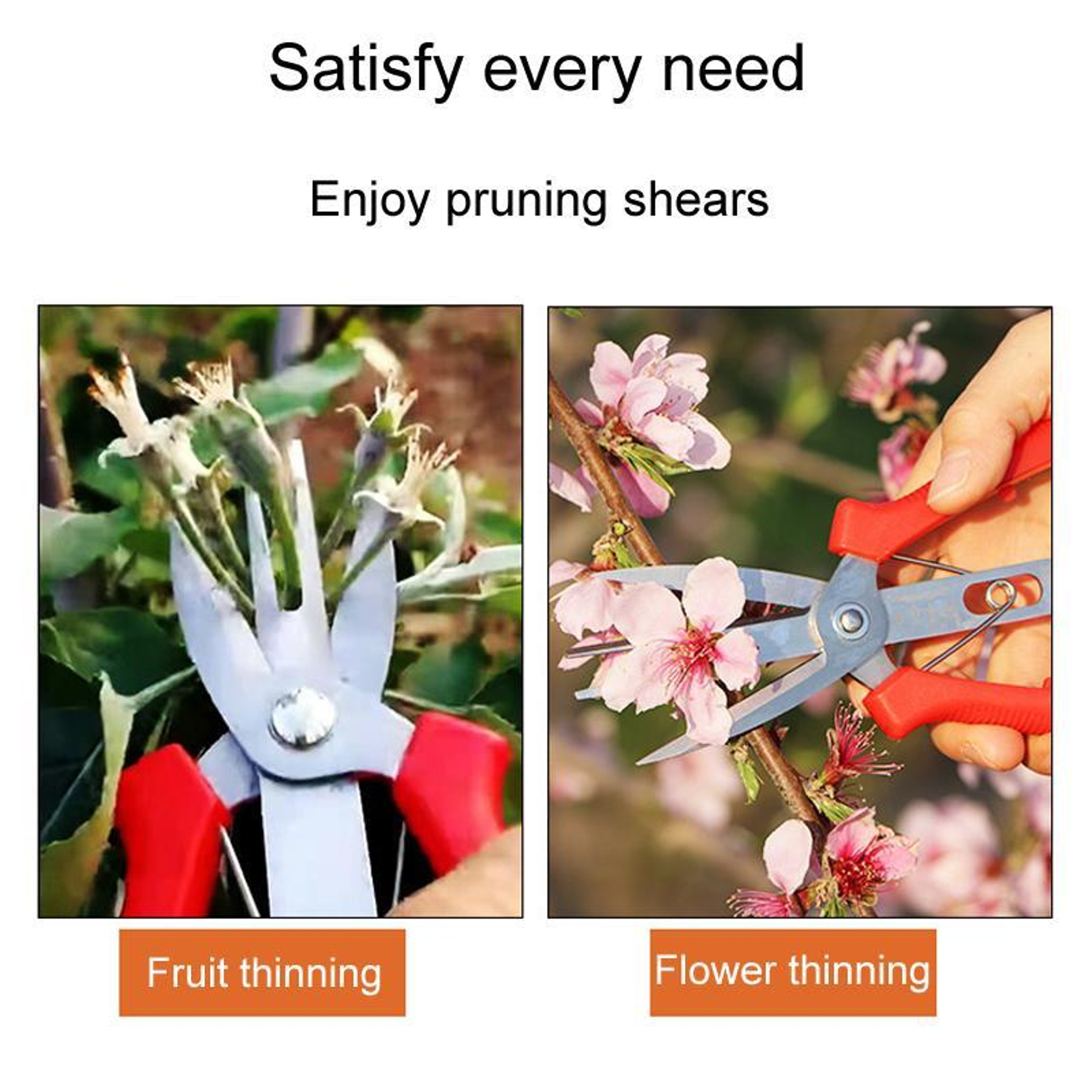 Precision SK5 Pruning Scissors for Fruit Thinning & Garden Care – view 4