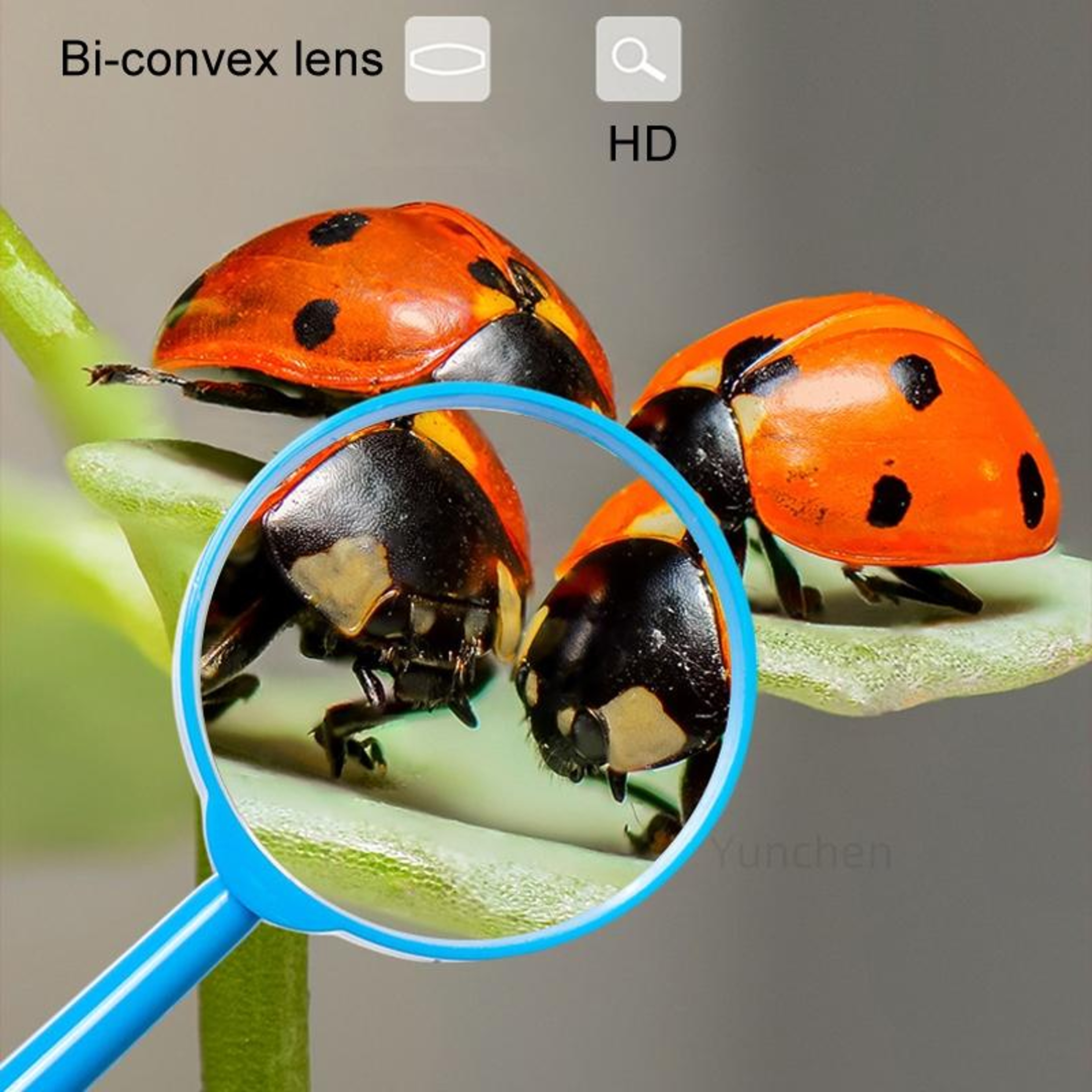 Kids Magnifying Glass Set 60mm Handheld Children Science & Learning Magnifier Toy – view 9