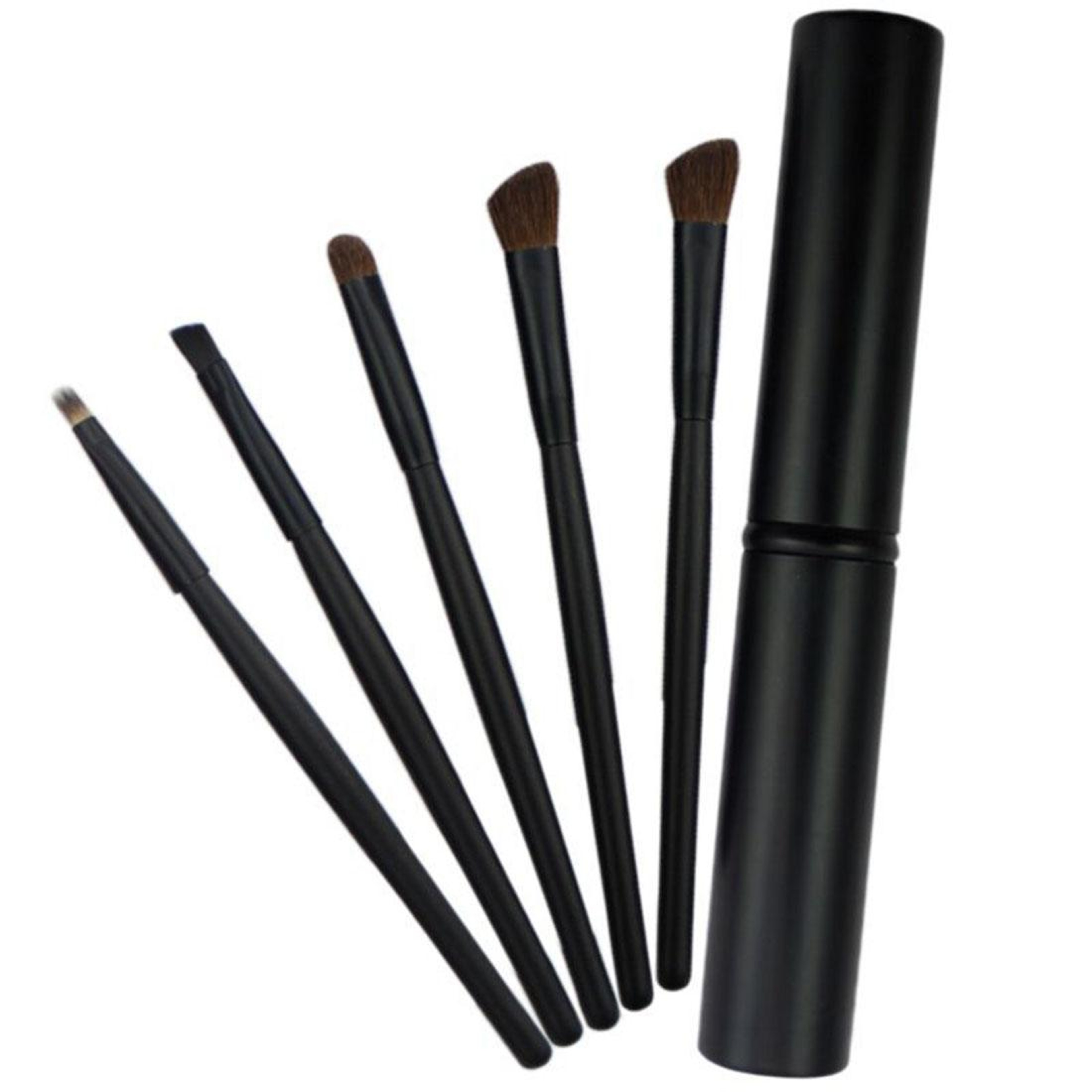 Eye Makeup Brush Set With Travel Case Portable Professional Eye Brushes Kit 0