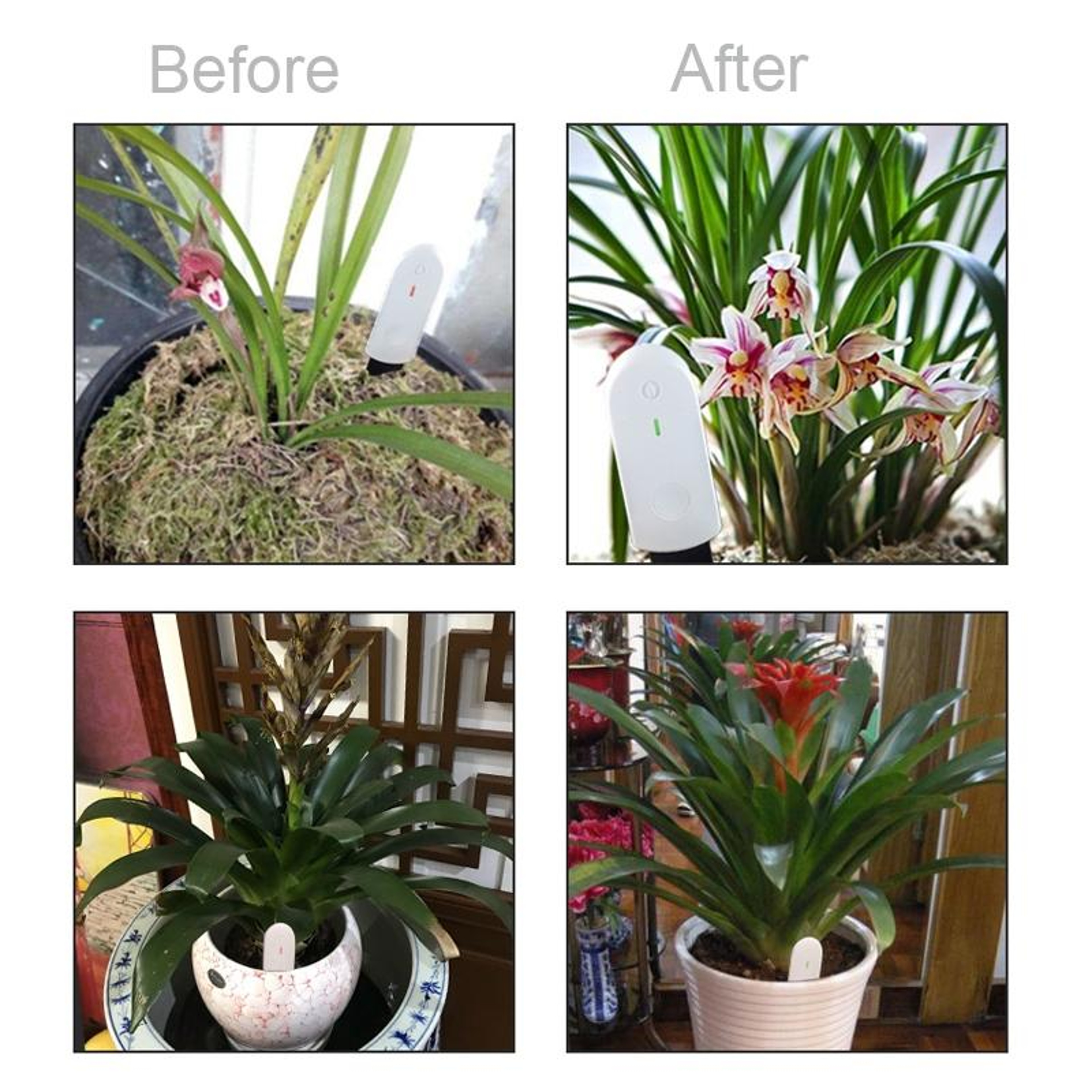 Smart Soil Moisture Meter for Plants & Gardens with Real-Time Water Monitoring – view 6