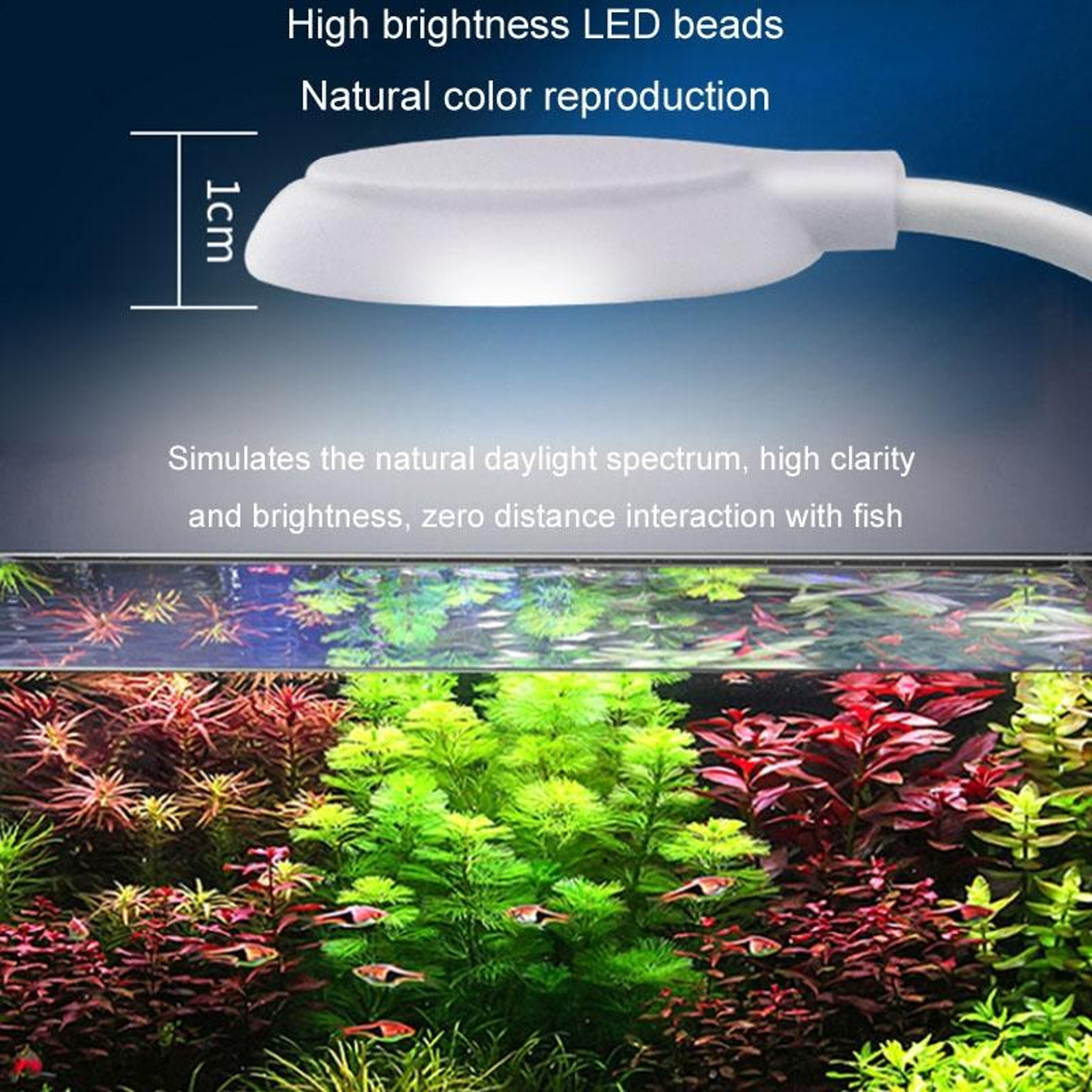 USB ClipOn Aquarium LED Light For Small Fish Tanks  Aquatic Plants 7
