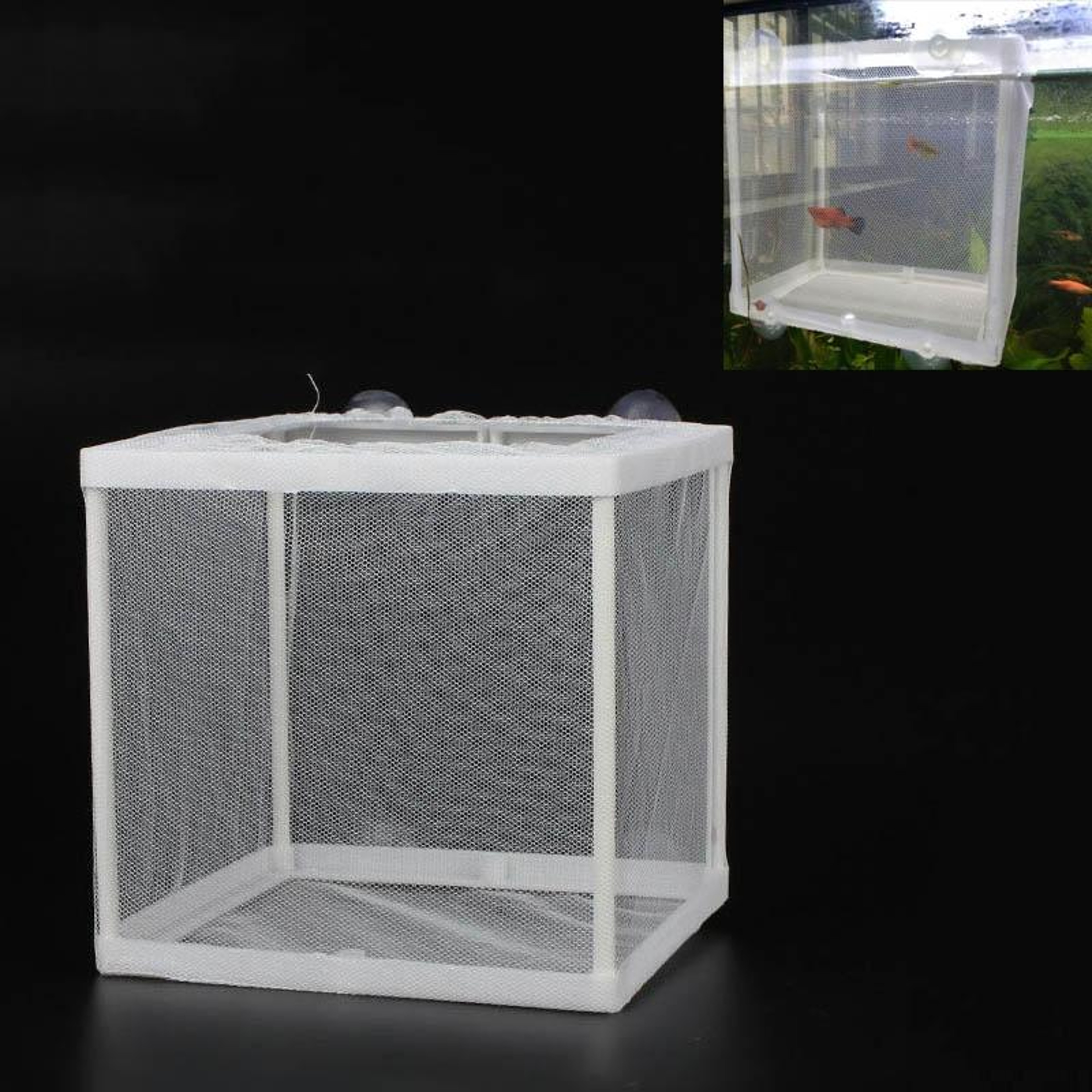 Aquarium Fish Breeding Isolation Box With Suction Cups For Fry Guppy  Tropical Fish 8