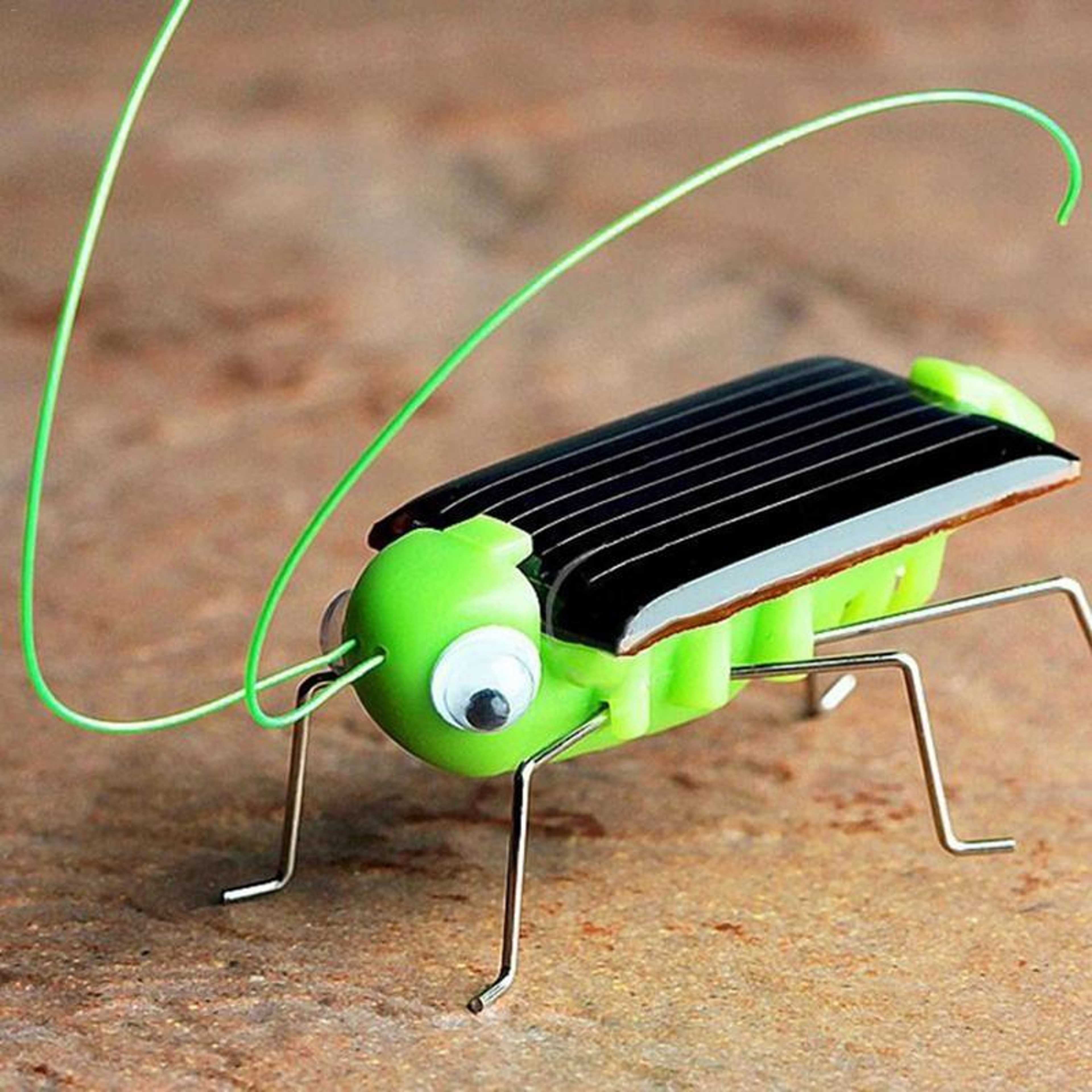 Solar Powered Grasshopper Bug Toy For Kids Eco Friendly Vibrating Insect Toy 0