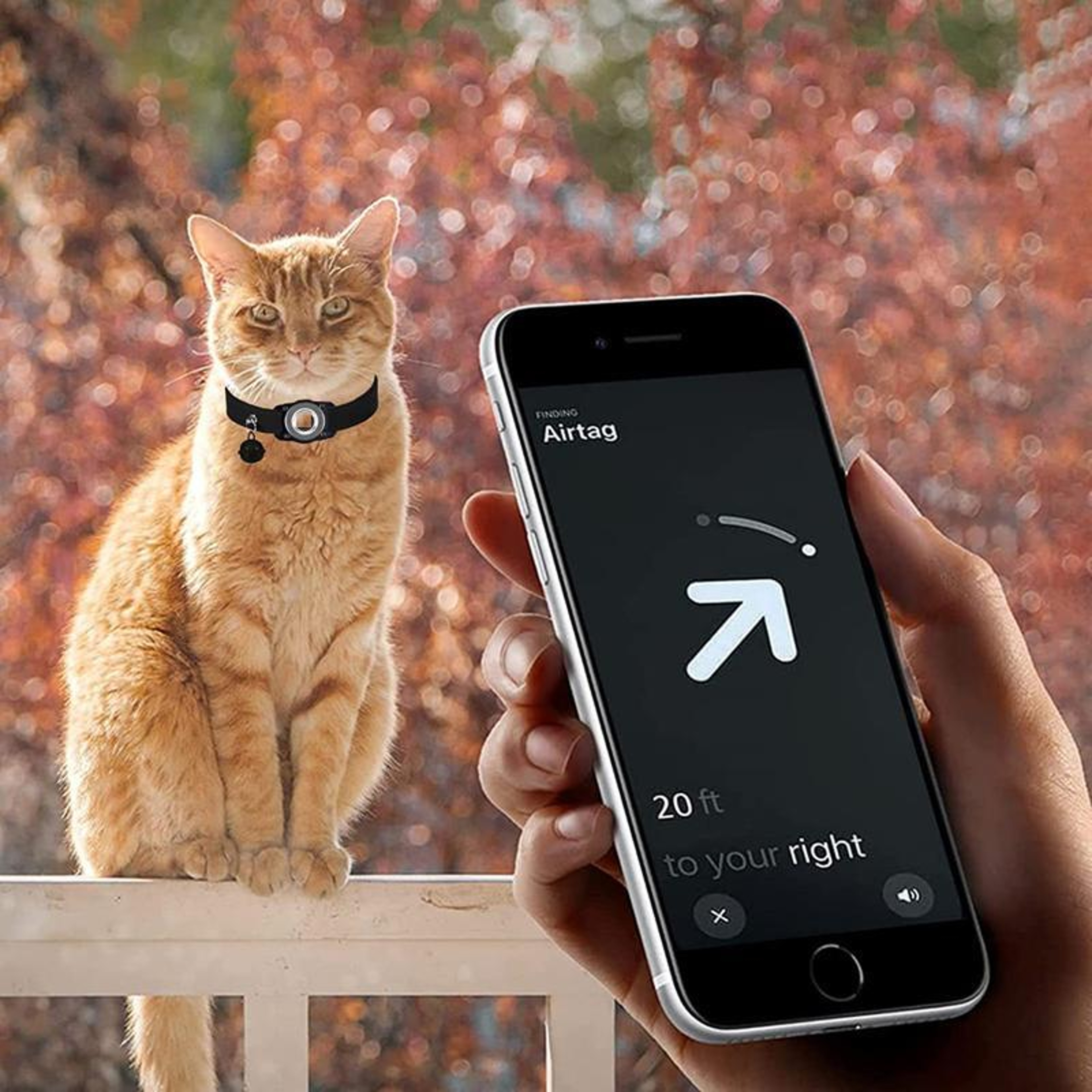 AirTag Waterproof Pet Collar With Leather Holder AntiLost GPS Tracker Collar For Cats  Small Dogs 1