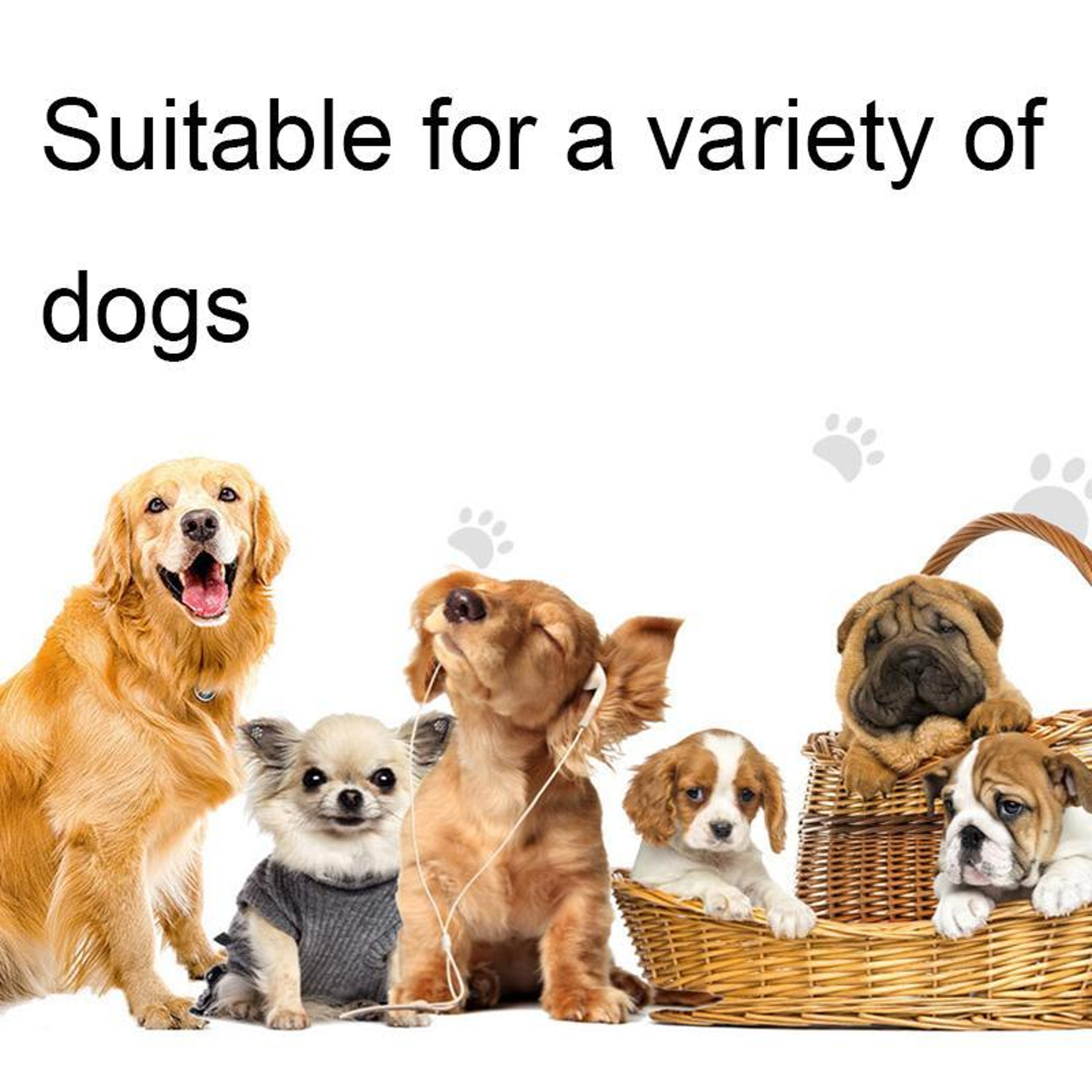 Smart 1000M Dog Training Collar With Remote Vibration  Adjustable Training Modes 5