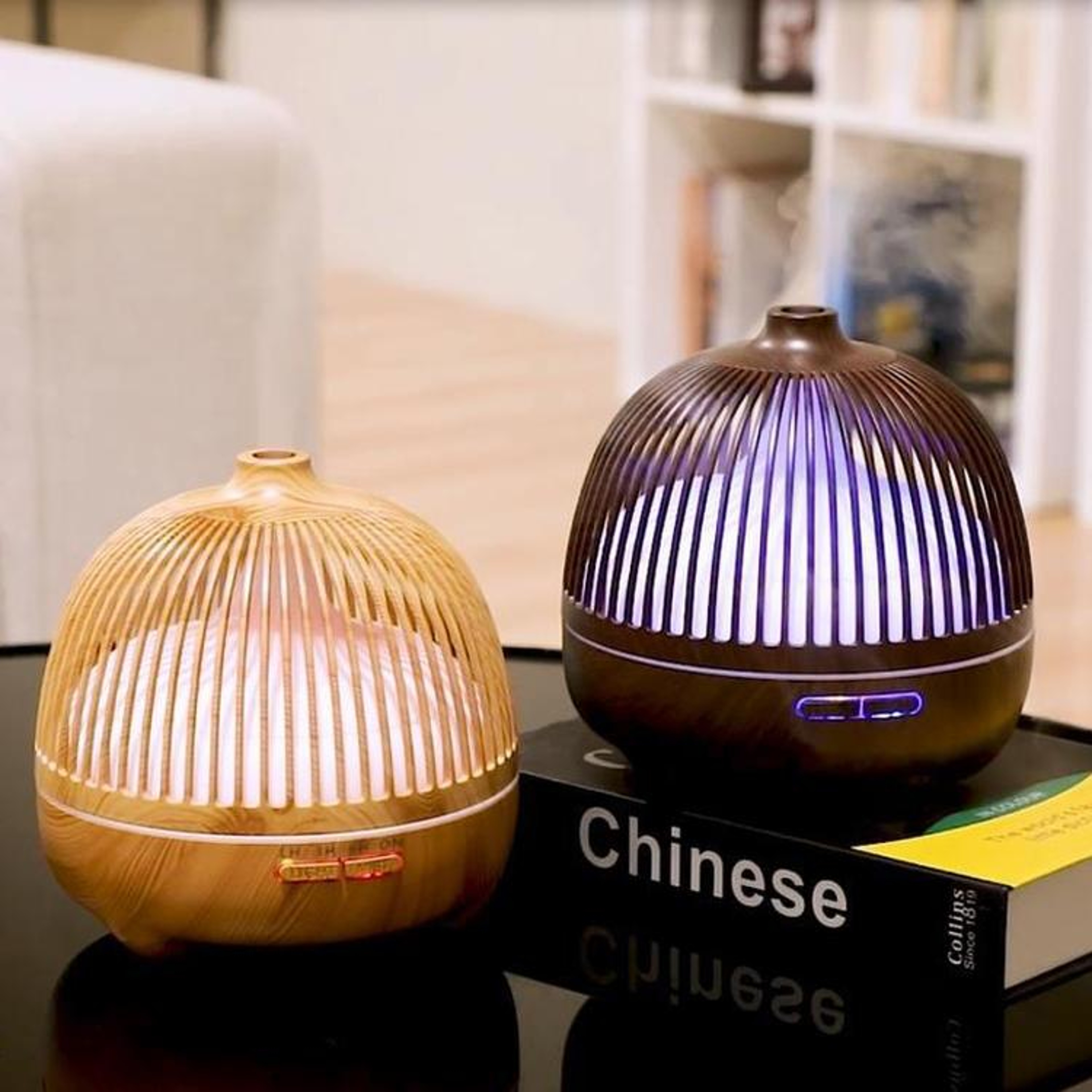 Bird Cage Aromatherapy Diffuser Ultrasonic Humidifier With LED Night Light And Remote Control 0