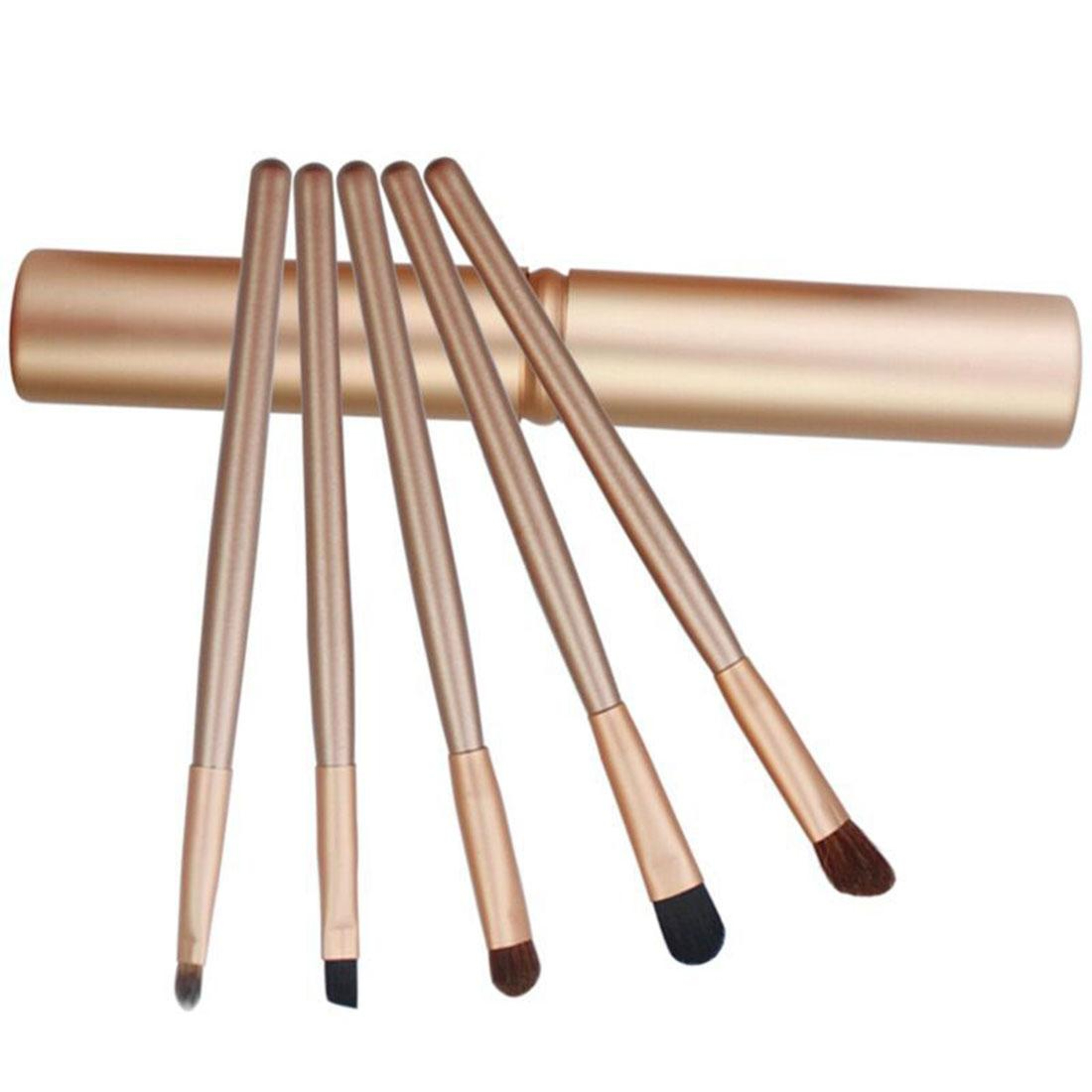 5 Piece Eye Makeup Brush Set Travel Makeup Brushes With Aluminum Tube Case 3