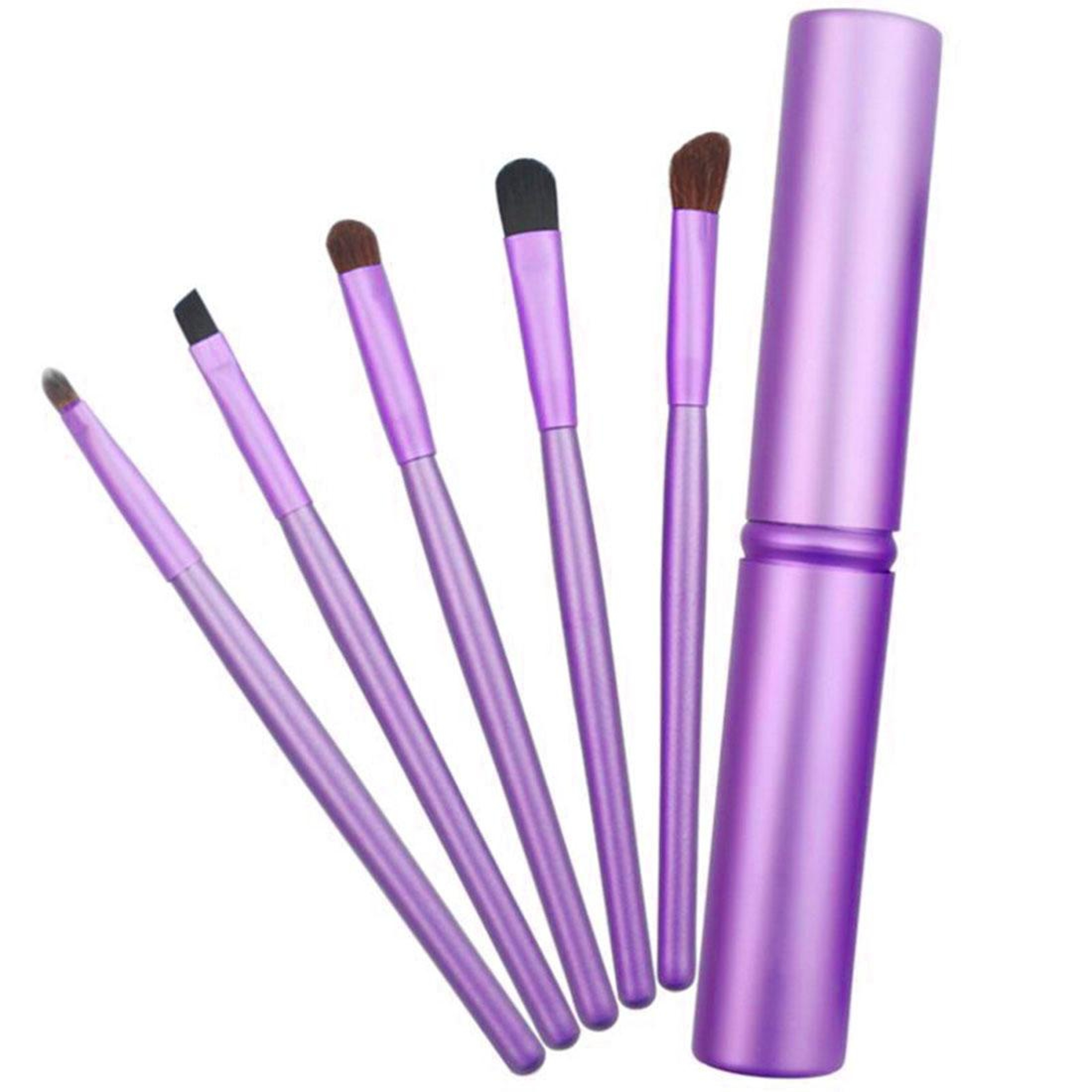 5 Piece Eye Makeup Brush Set Travel Makeup Brushes With Aluminum Tube Case 7